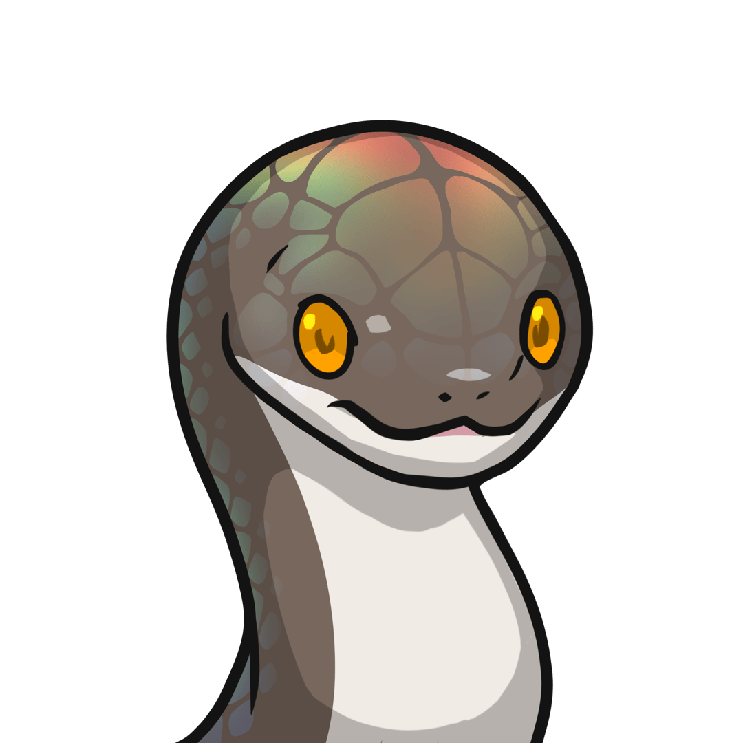 ［Locked］Orochi-Japanese ground snake(Takachiho-hebi) #00110
