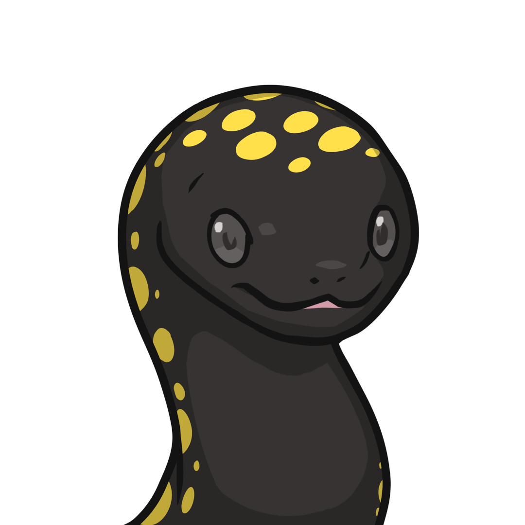 ［Locked］Orochi-Pointed salamander #00127