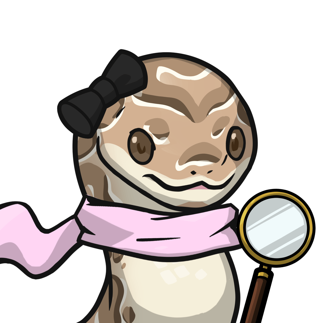 Orochi-Ball python #14584