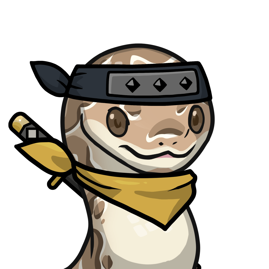 Orochi-Ball python #15478