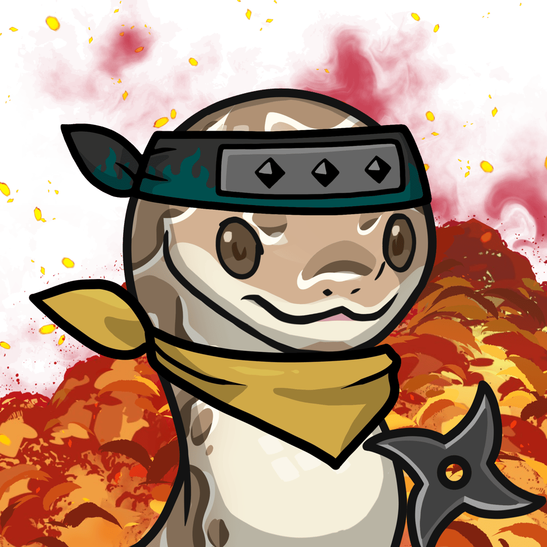 Orochi-Ball python #16931