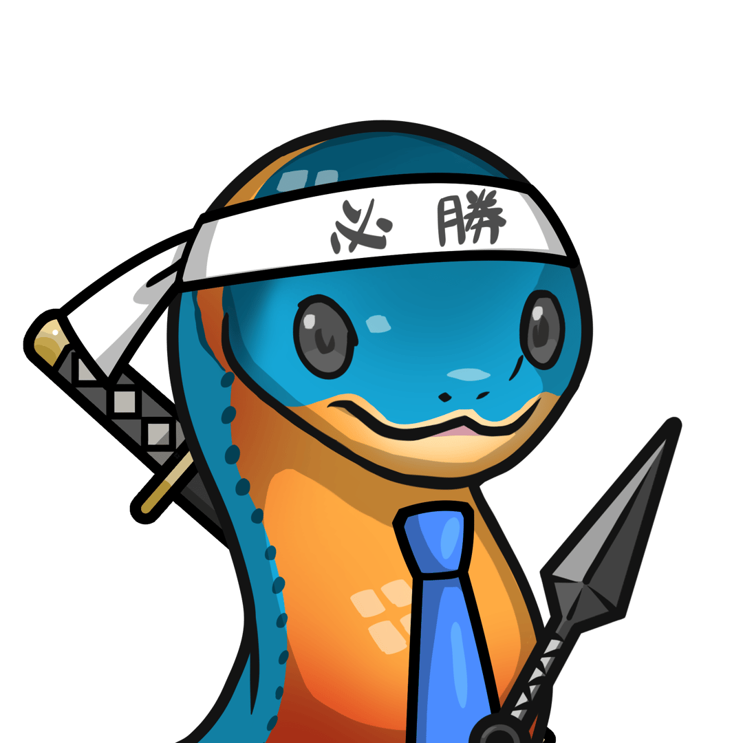 Orochi-Regal ringneck snake #03371