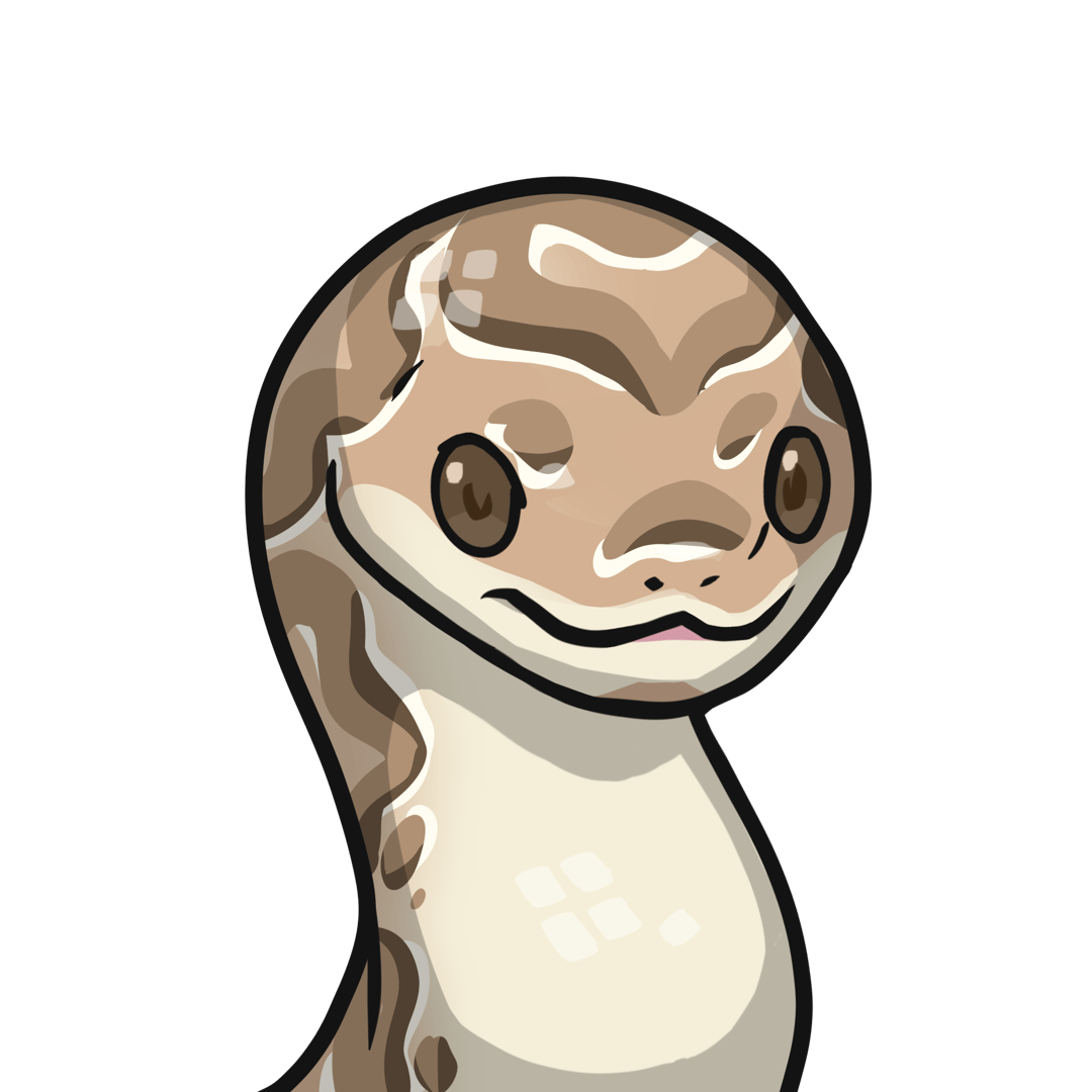 ［Locked］Orochi-Ball python #00080
