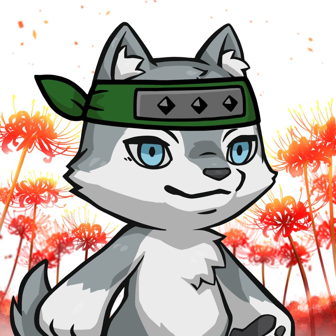 Makami-Siberian husky #04976