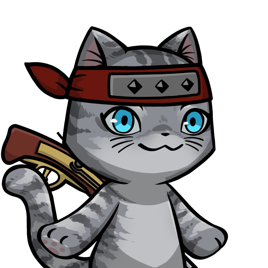 Towa-American shorthair #11692