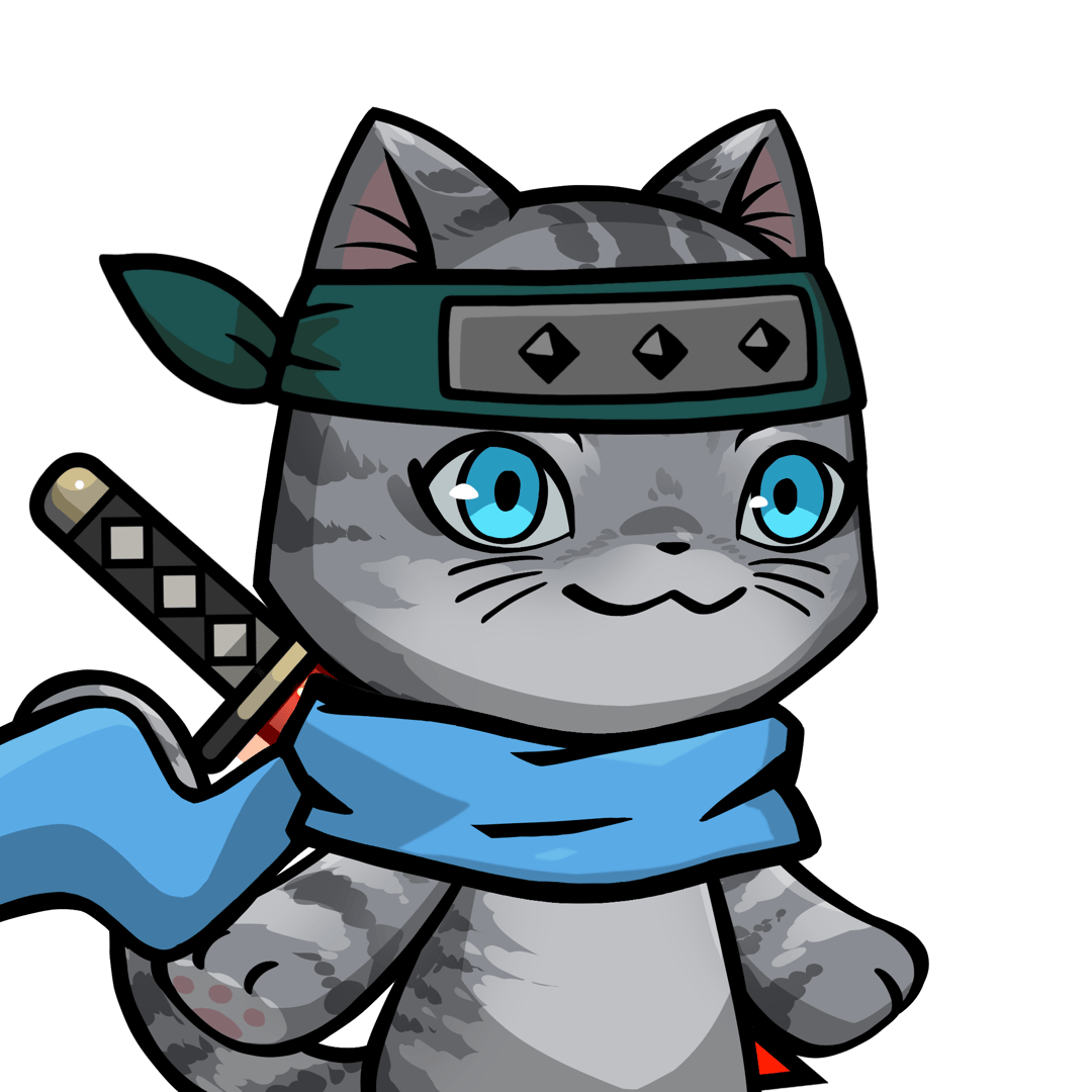 Towa-American shorthair #22541