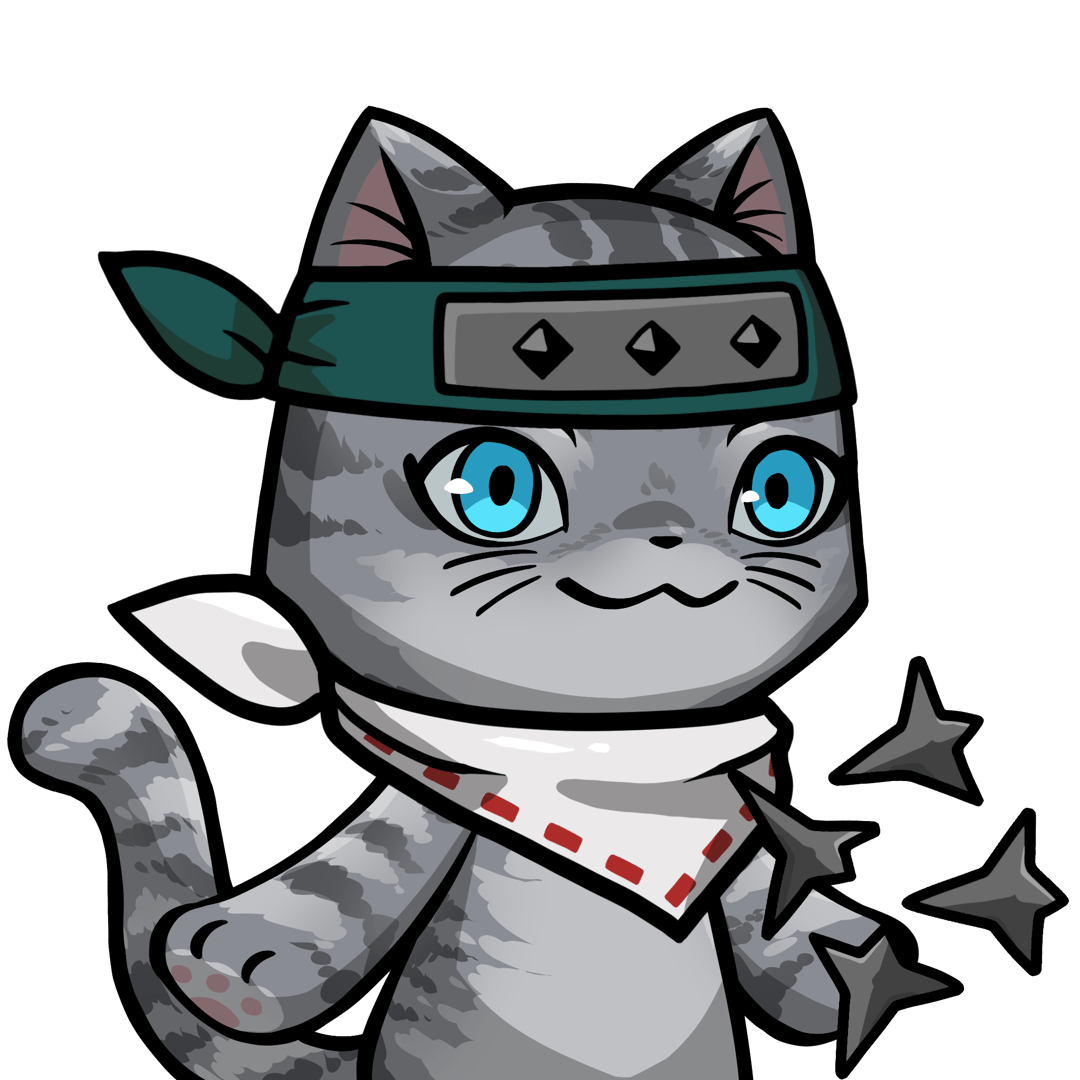Towa-American shorthair #22437