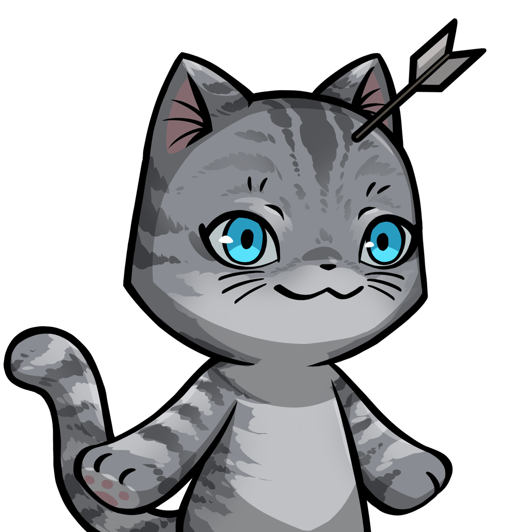 Towa-American shorthair #15975
