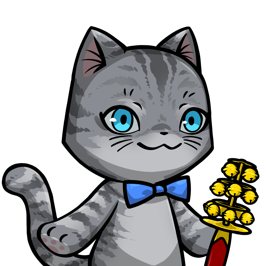 Towa-American shorthair #17133