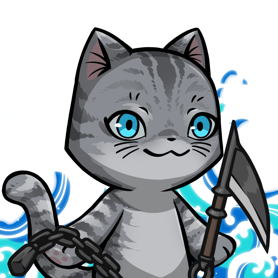 Towa-American shorthair #13669