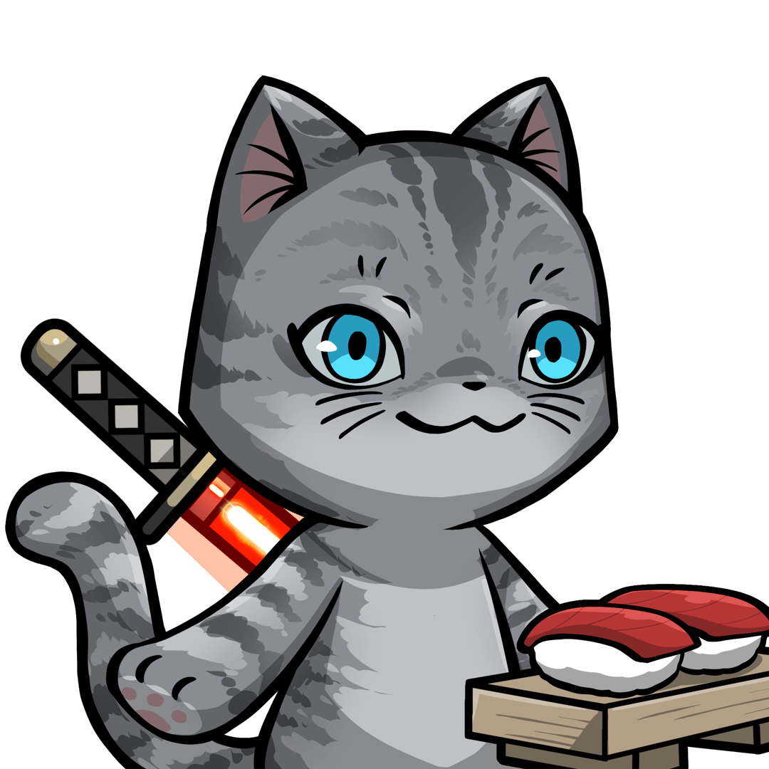 Towa-American shorthair #13324