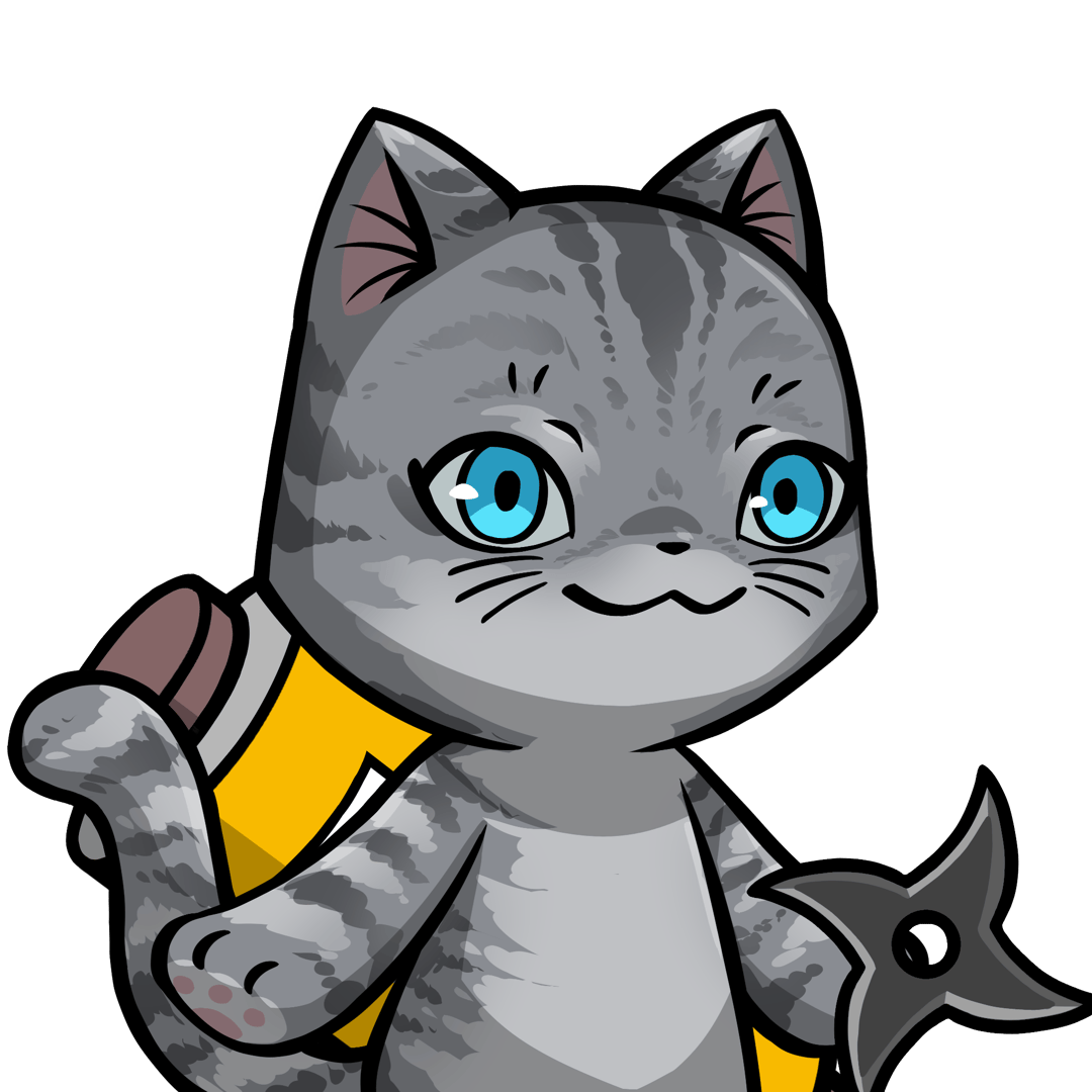Towa-American shorthair #16657