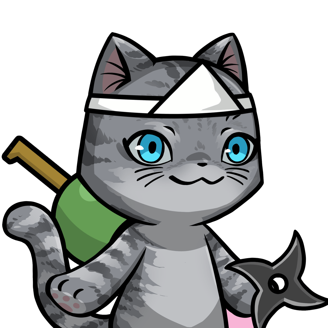 ［Locked］Towa-American shorthair #19125