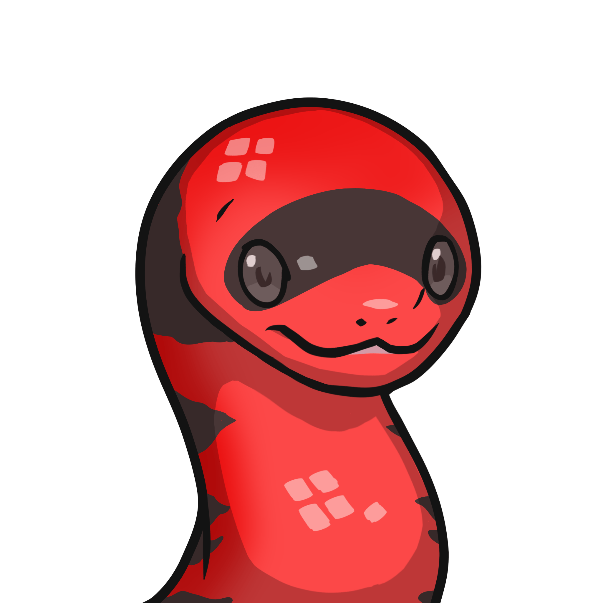 ［Locked］Orochi-Honduran milksnake #00109
