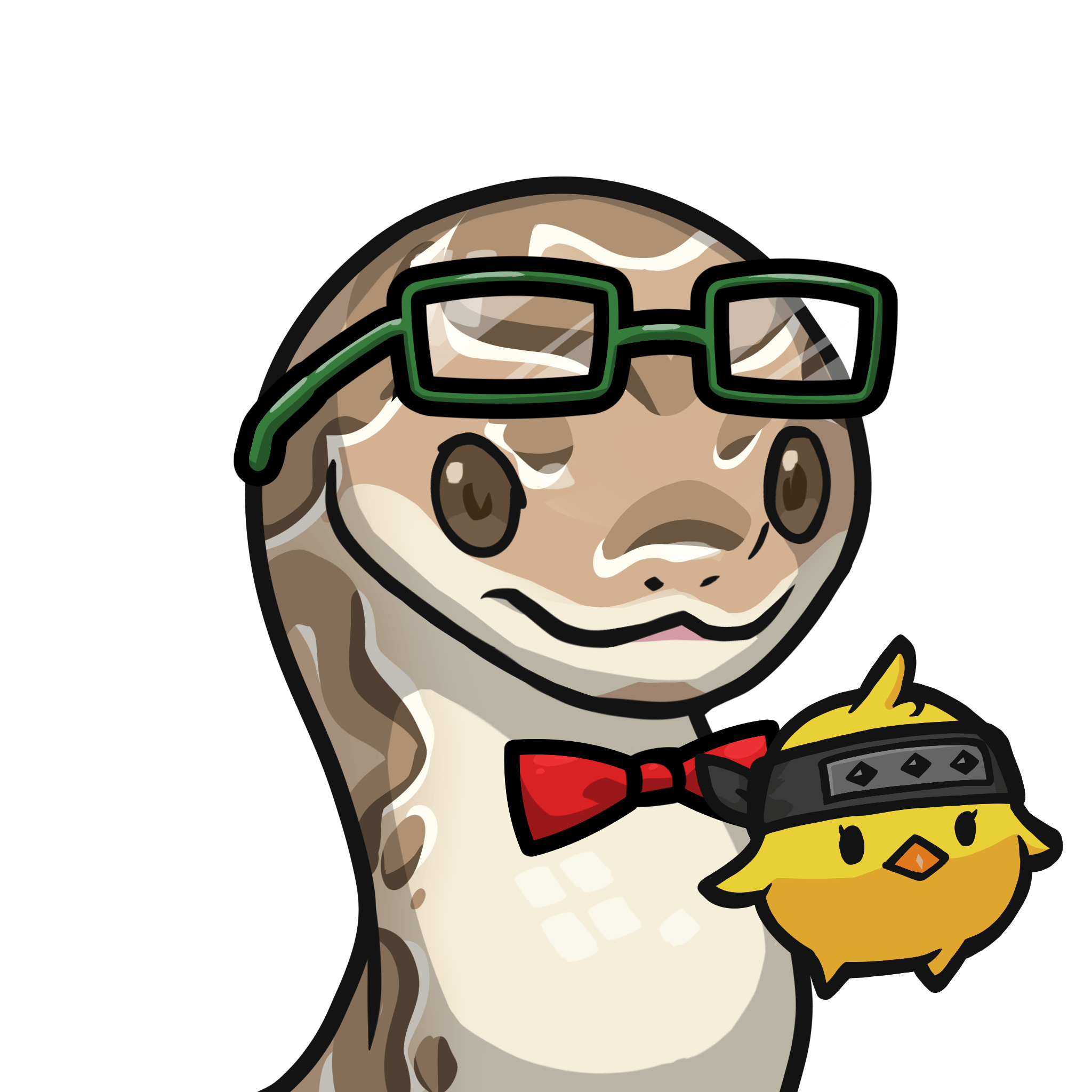 ［Locked］Orochi-Ball python #12235