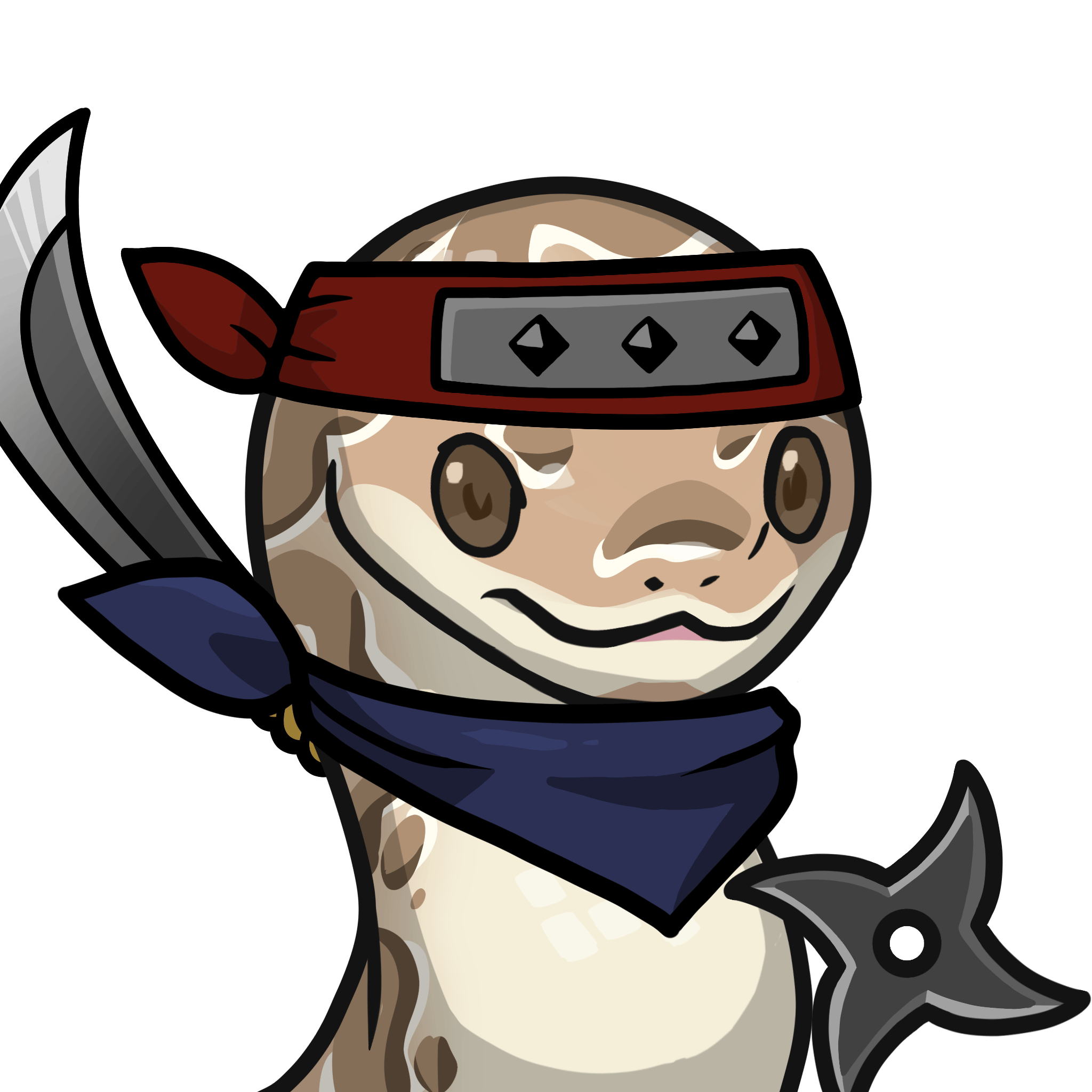 Orochi-Ball python #12331