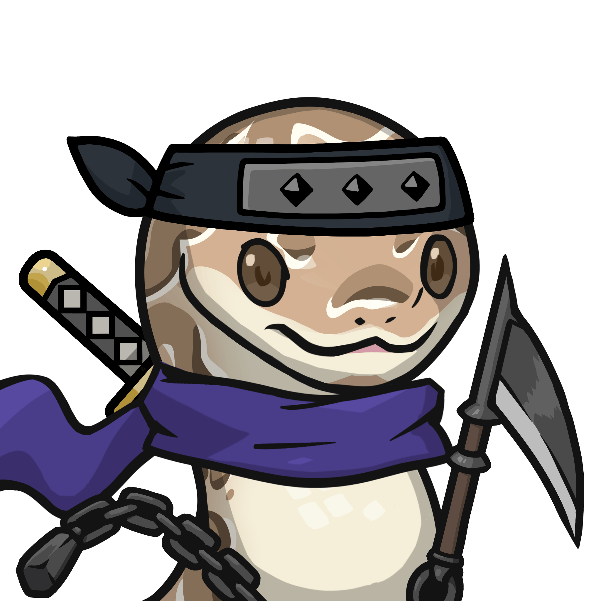 Orochi-Ball python #12975