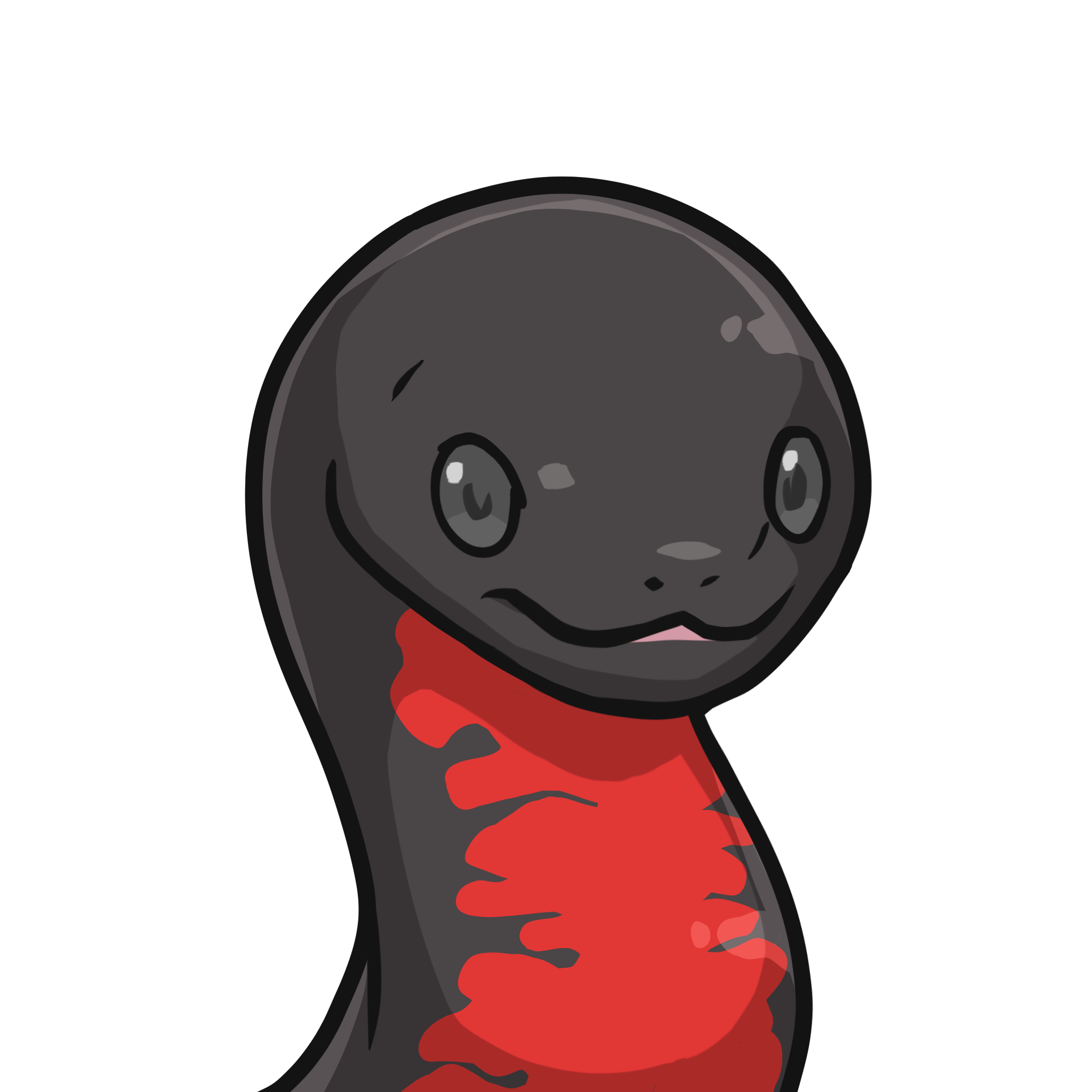 ［Locked］Orochi-Red-bellied newt #00131