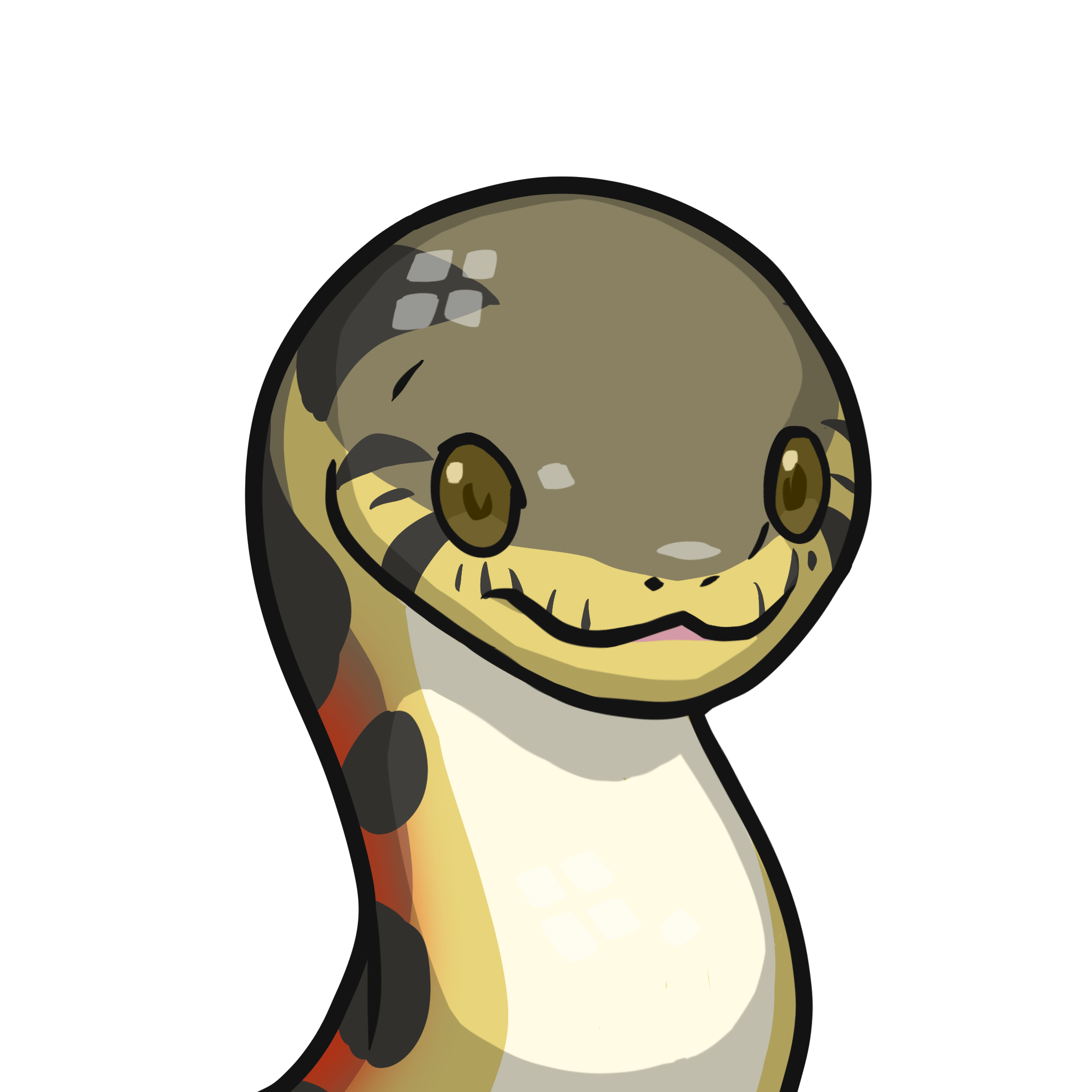 ［Locked］Orochi-Ringed grass snake #00133