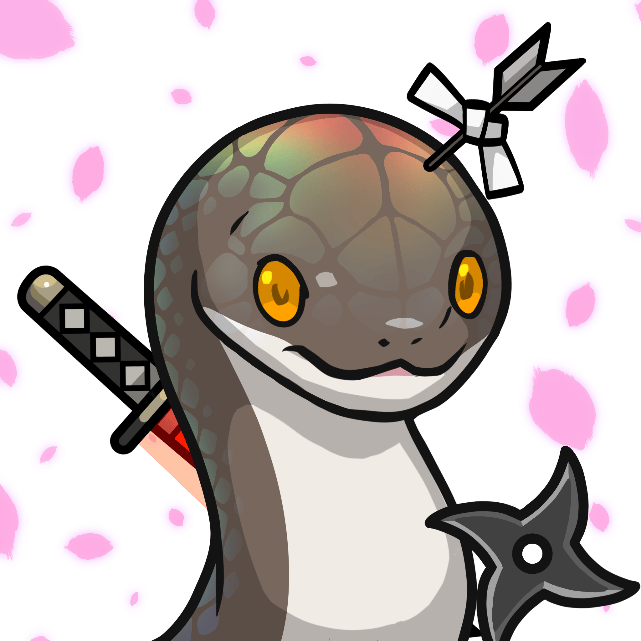 ［Locked］Orochi-Japanese ground snake(Takachiho-hebi) #13595