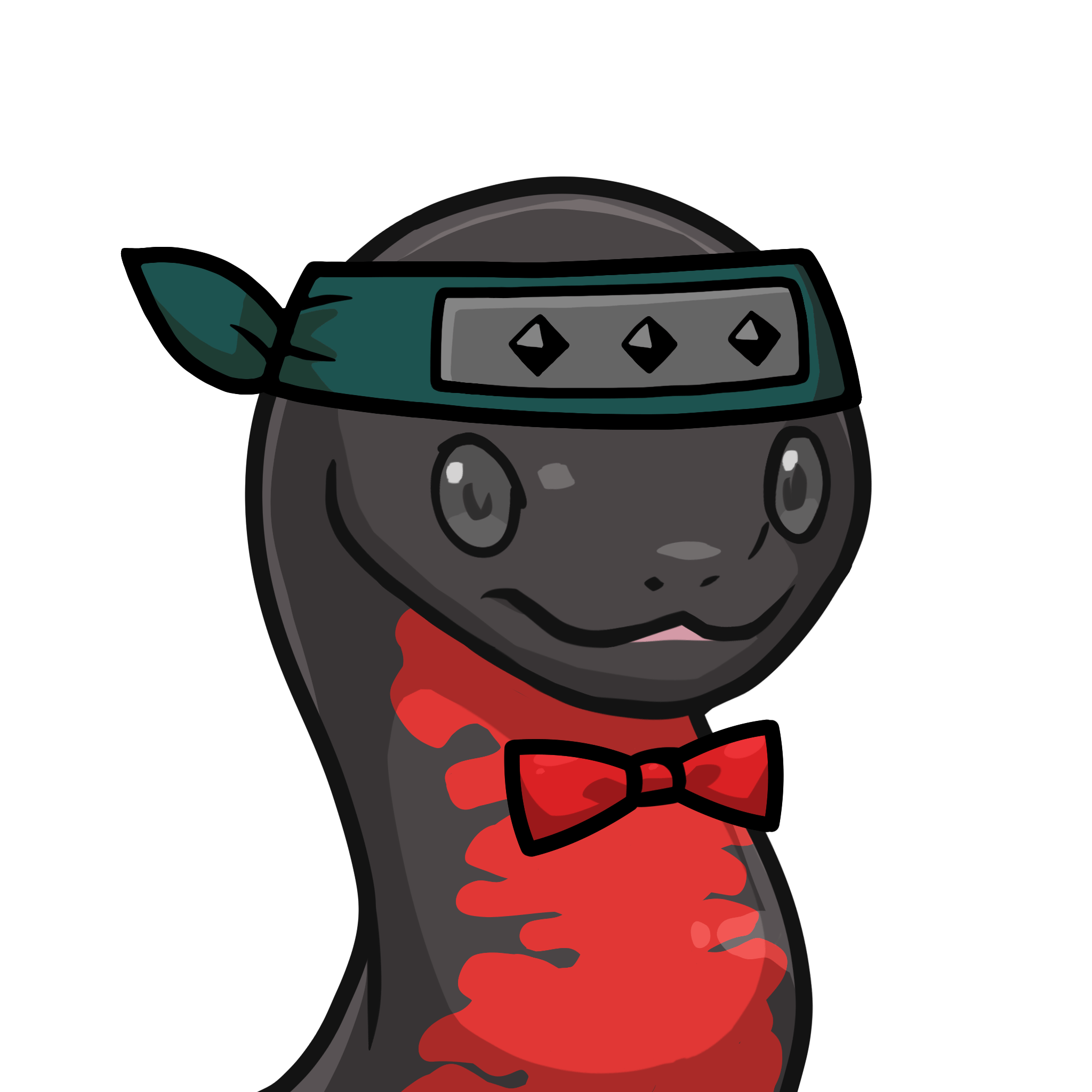 Orochi-Red-bellied newt #14746
