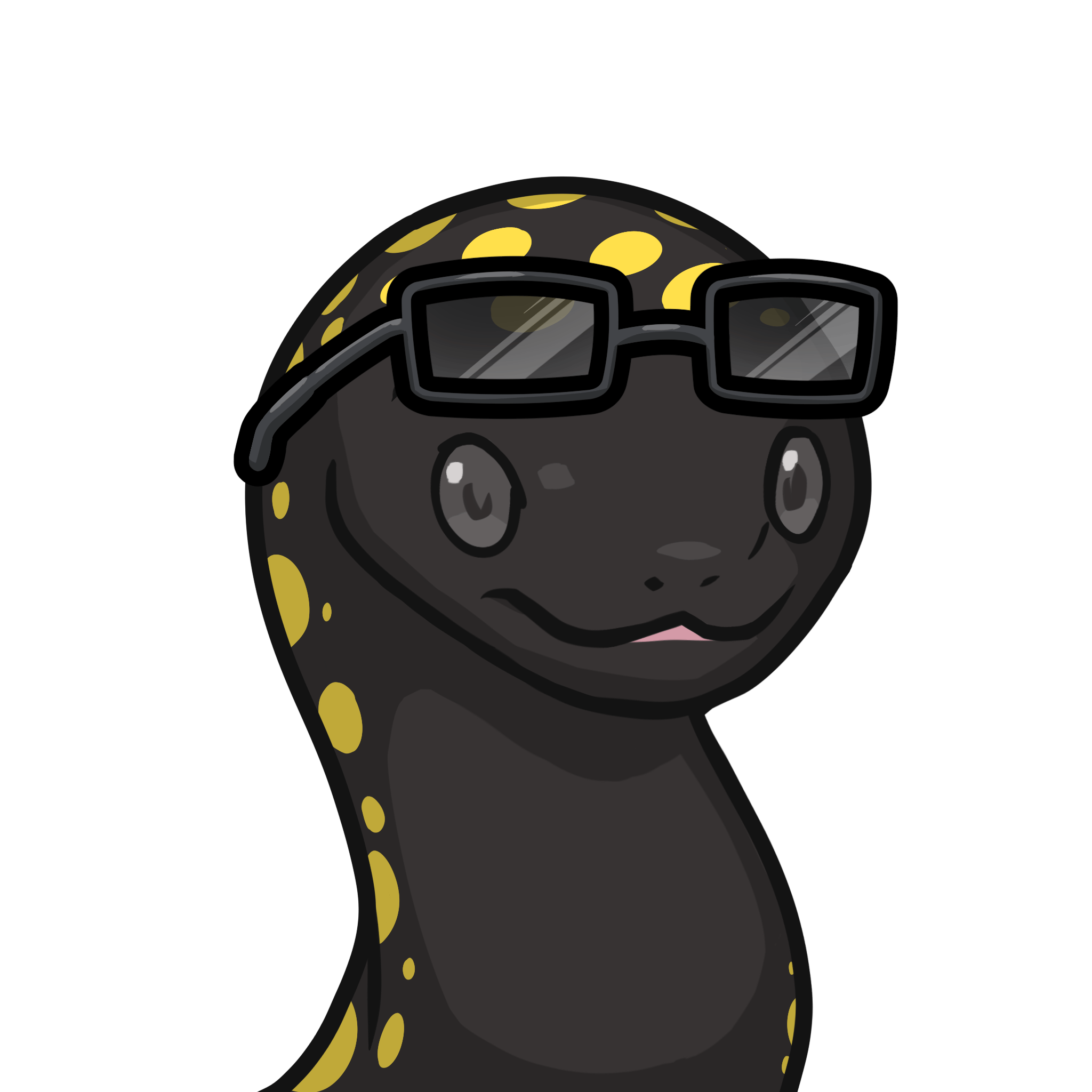 Orochi-Pointed salamander #01510