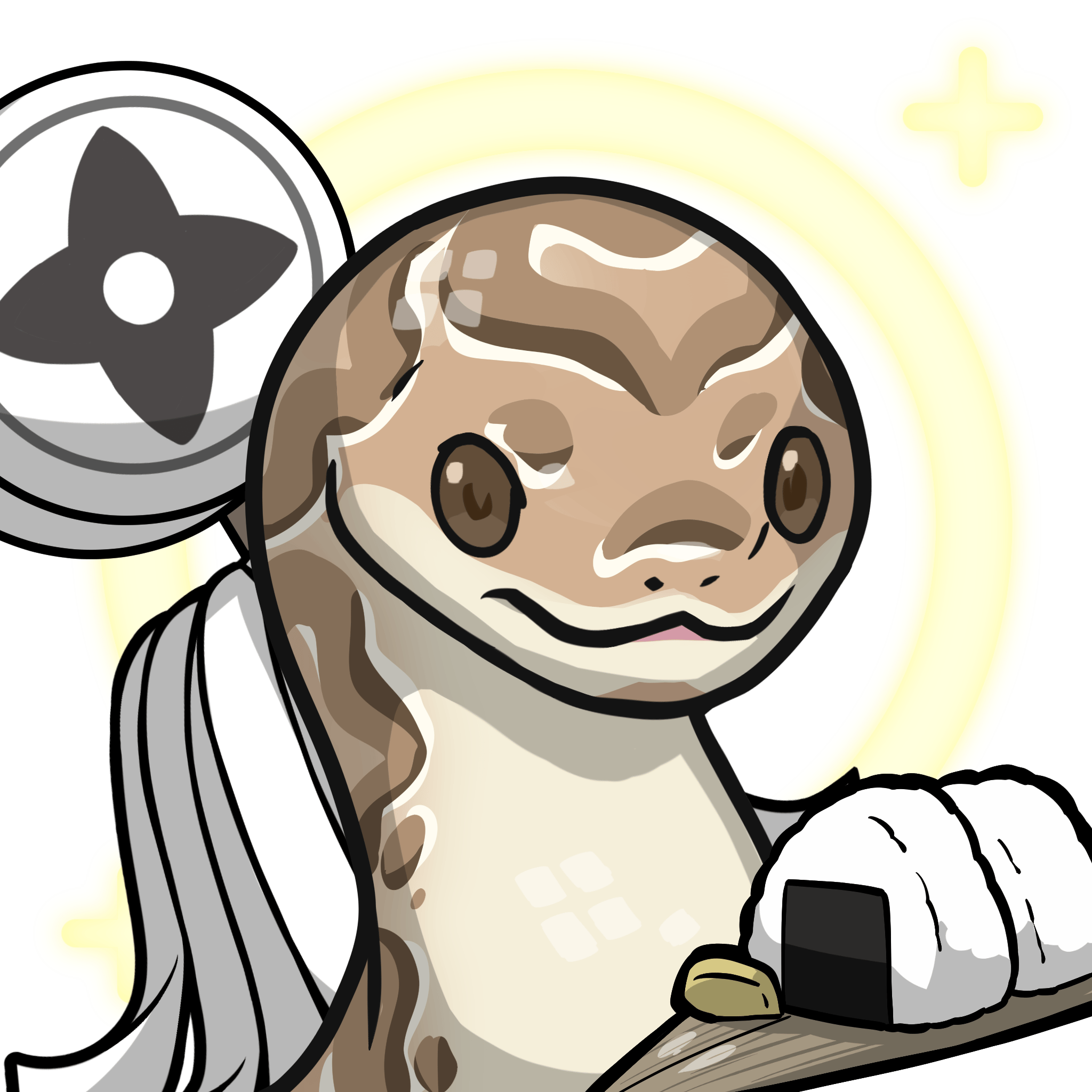 Orochi-Ball python #16446