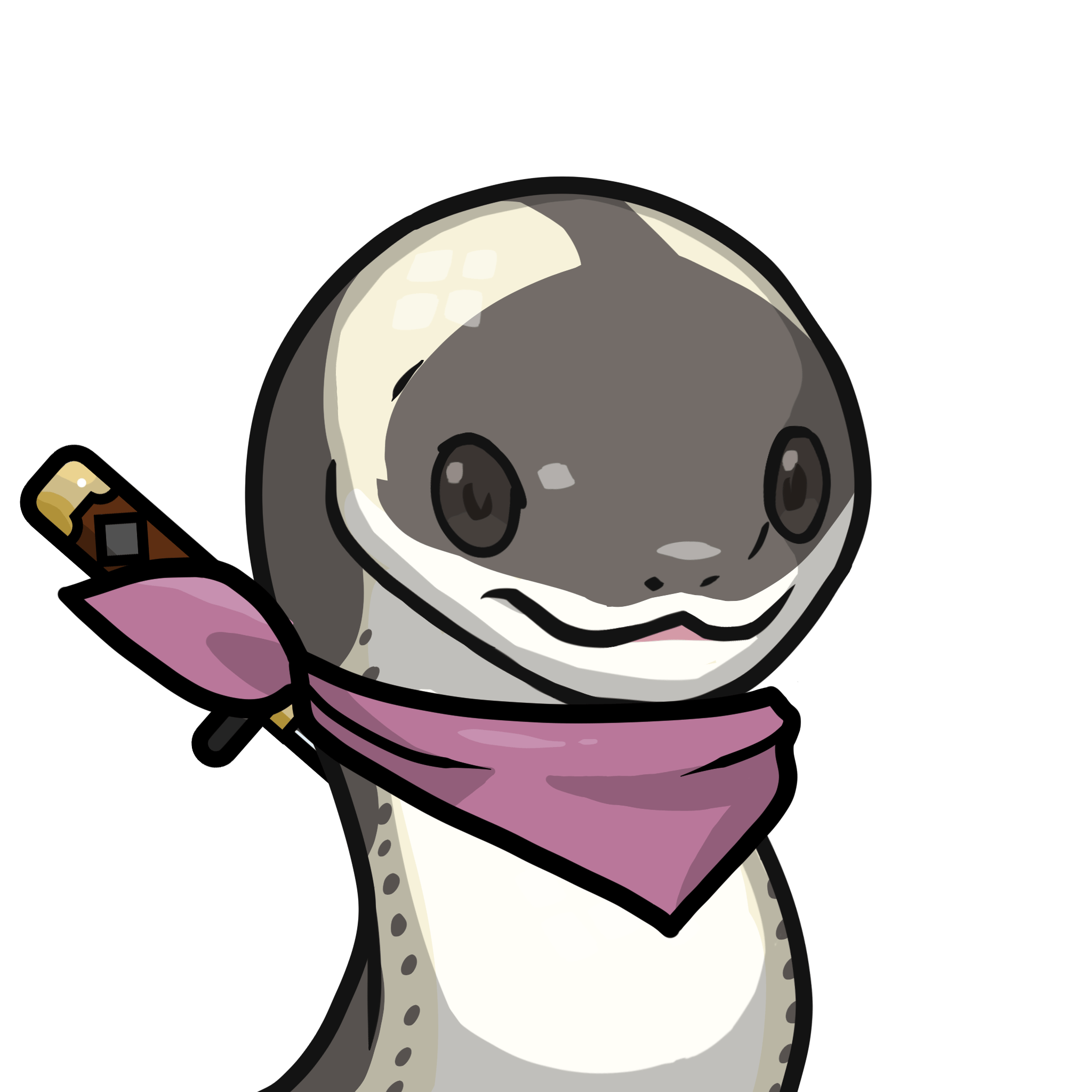 Orochi-Oriental odd-tooth snake #16901