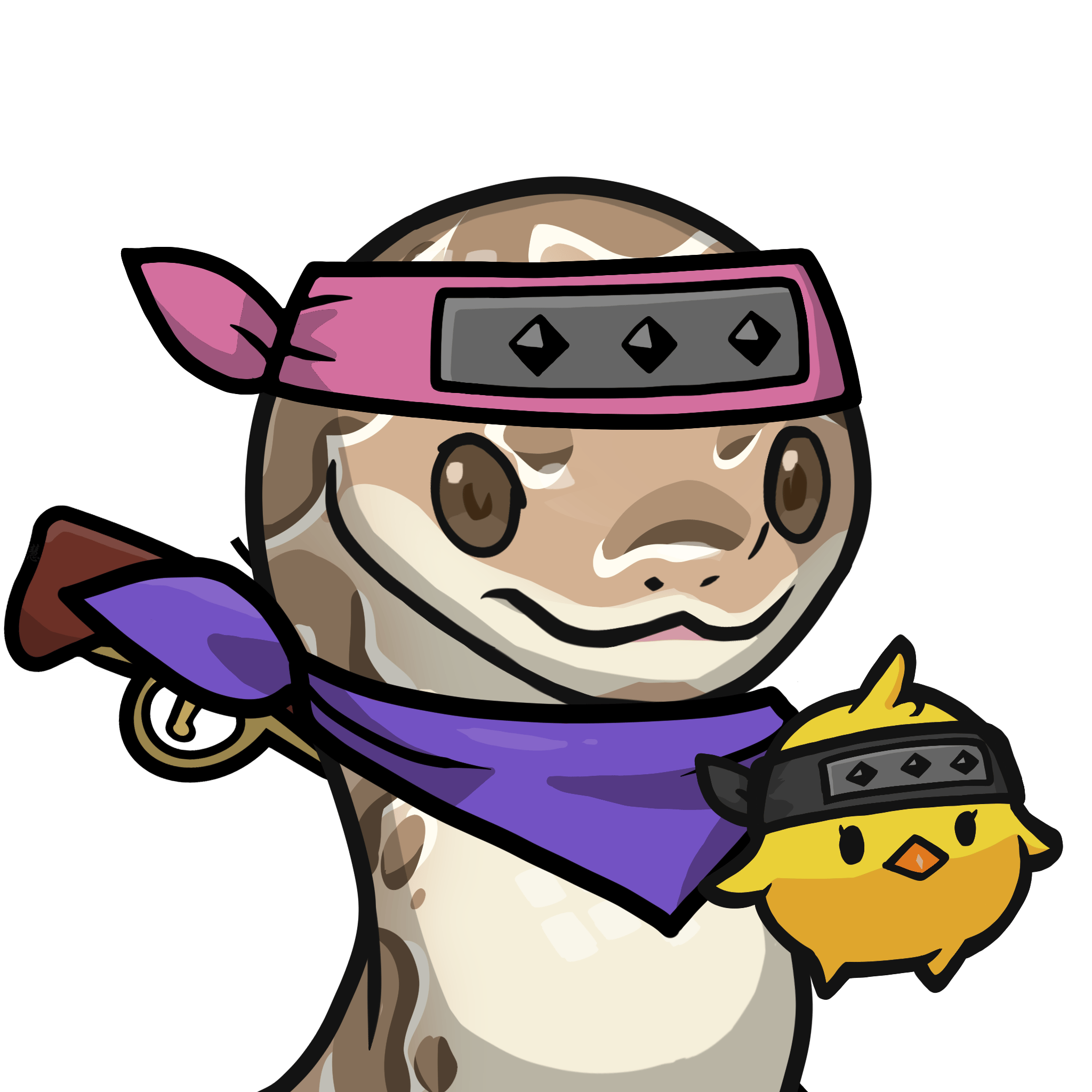 Orochi-Ball python #16924