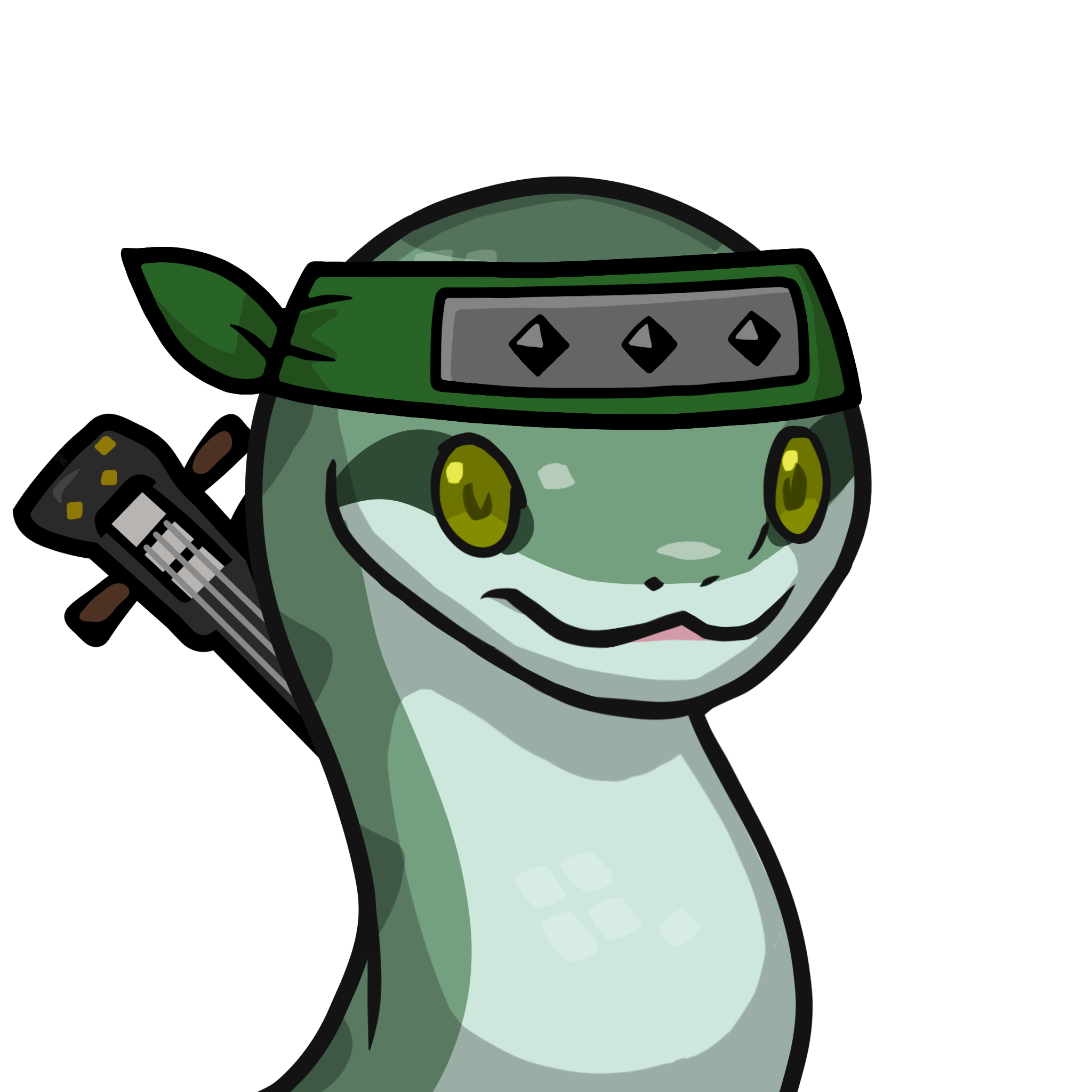 Orochi-Japanese rat snake #21900