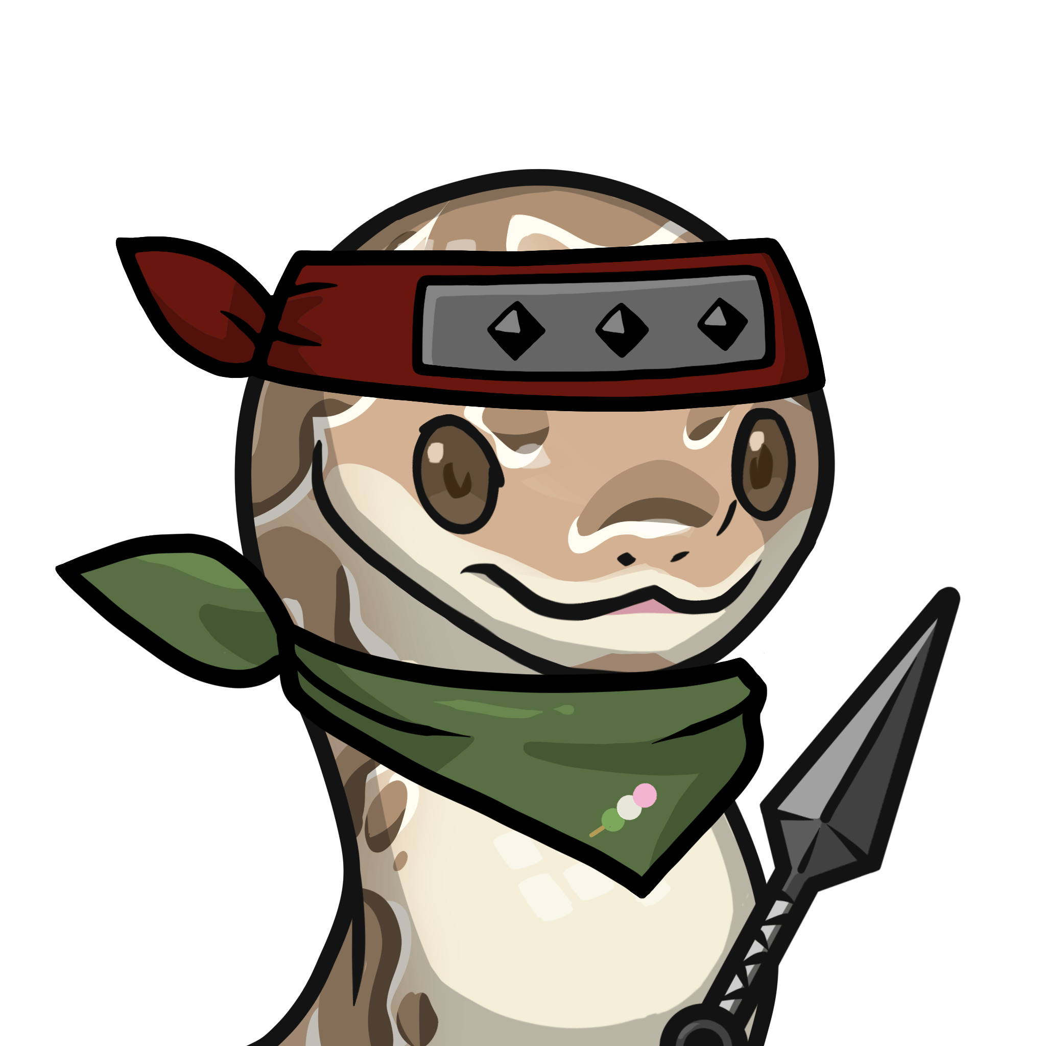 Orochi-Ball python #02907