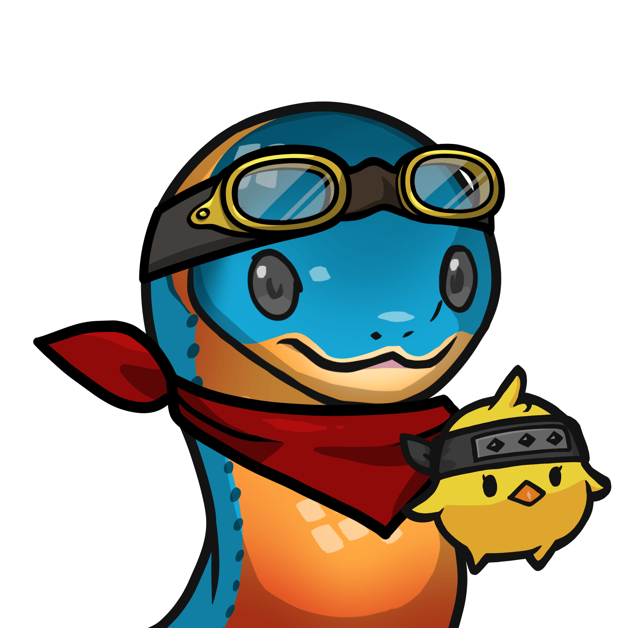 Orochi-Regal ringneck snake #06853