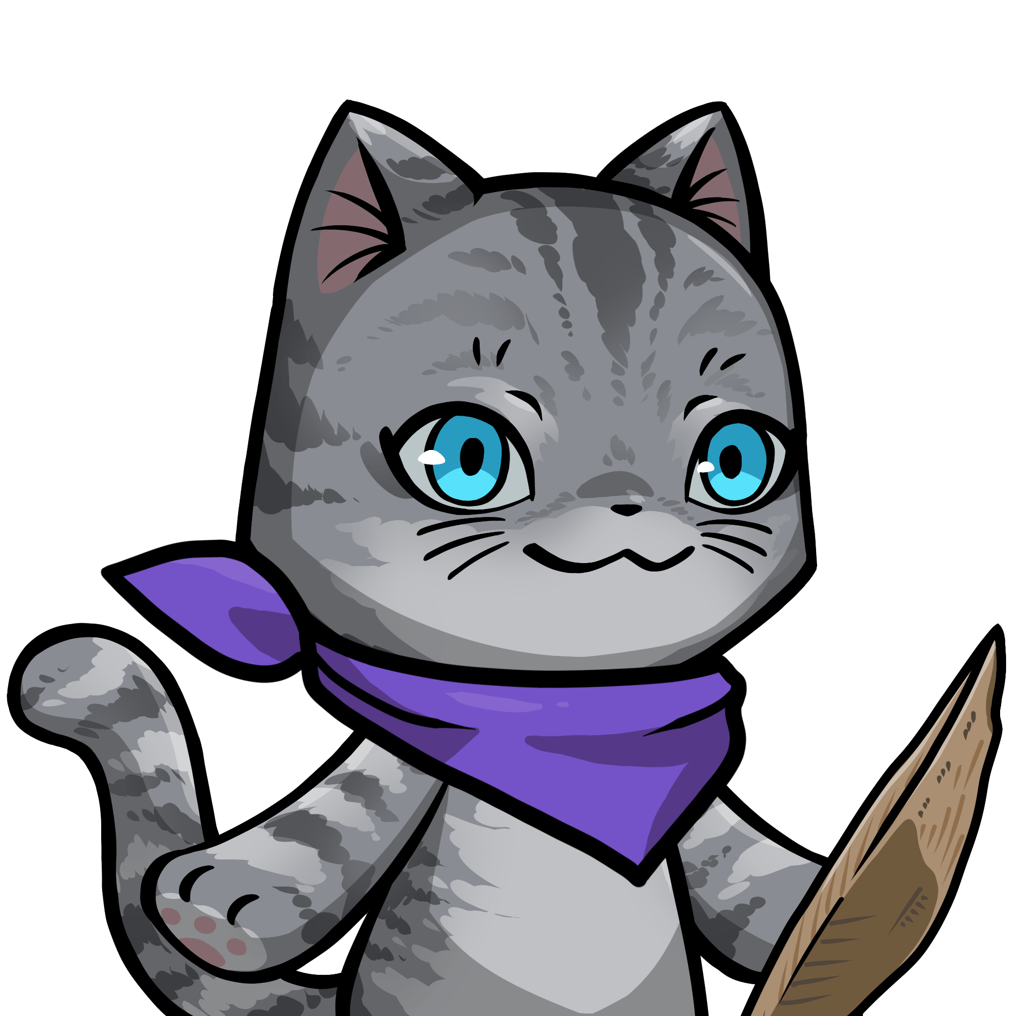 Towa-American shorthair #12642
