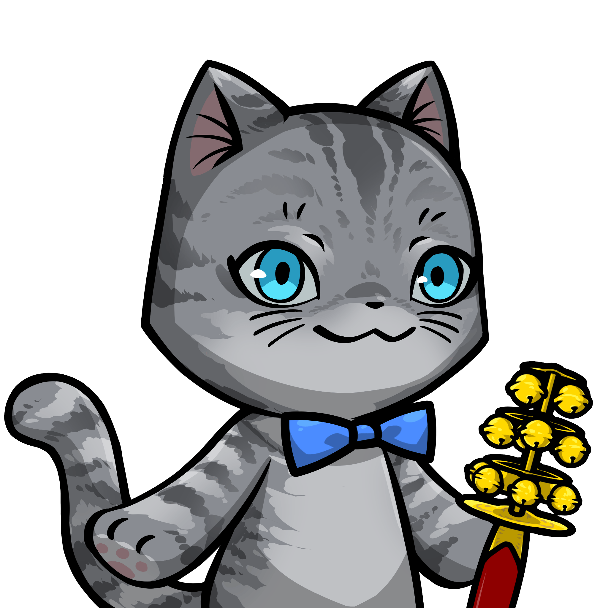Towa-American shorthair #17133