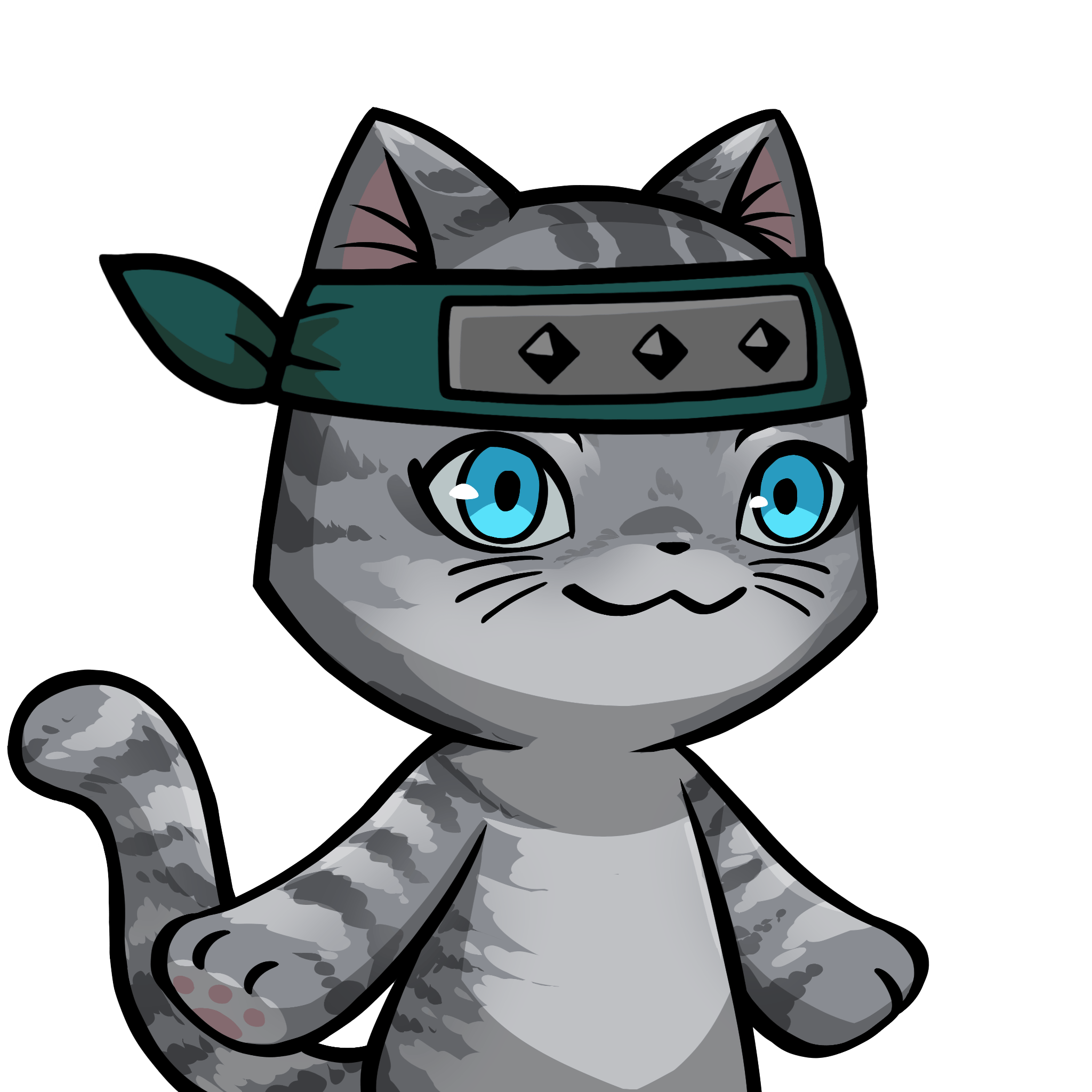 Towa-American shorthair #24660