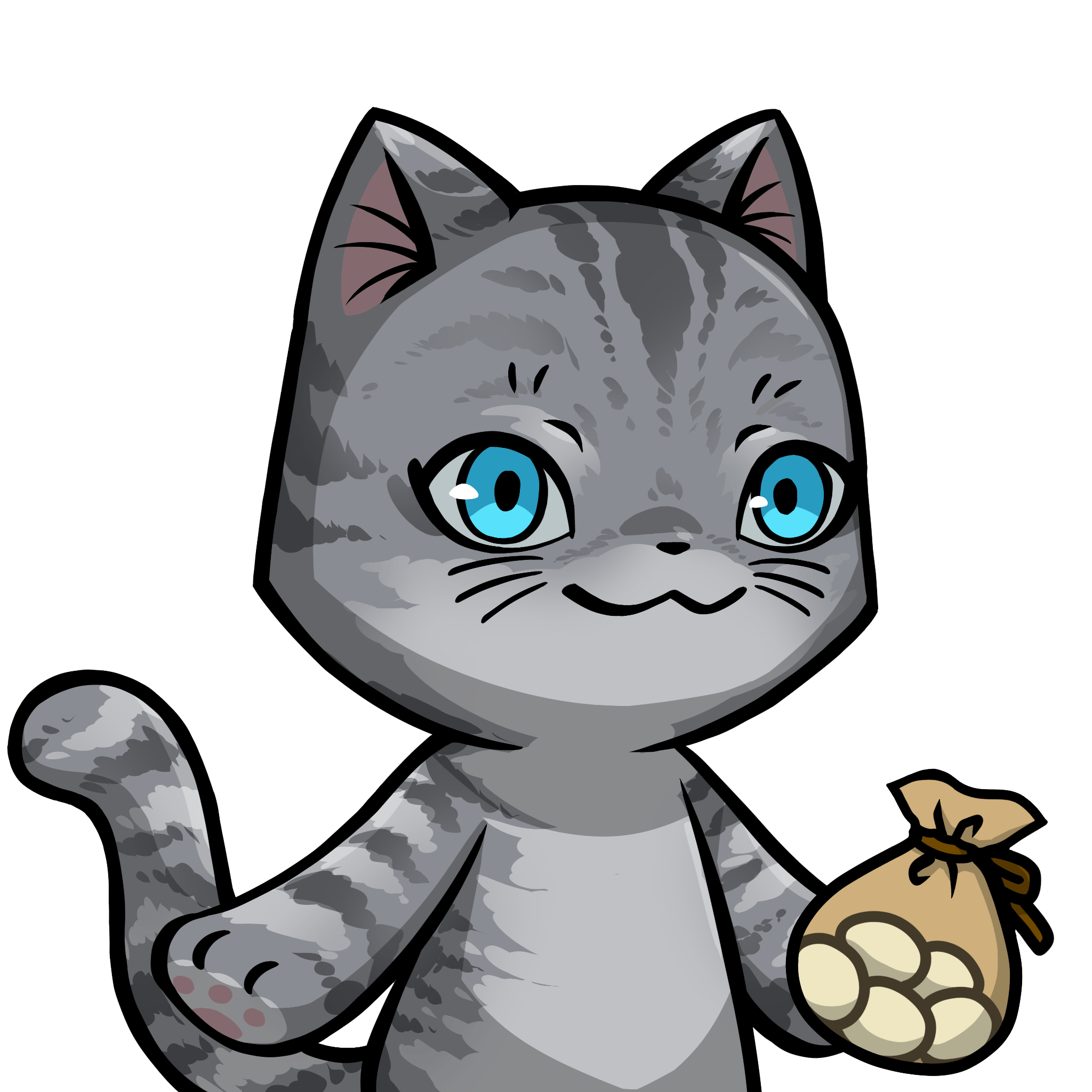 Towa-American shorthair #08959