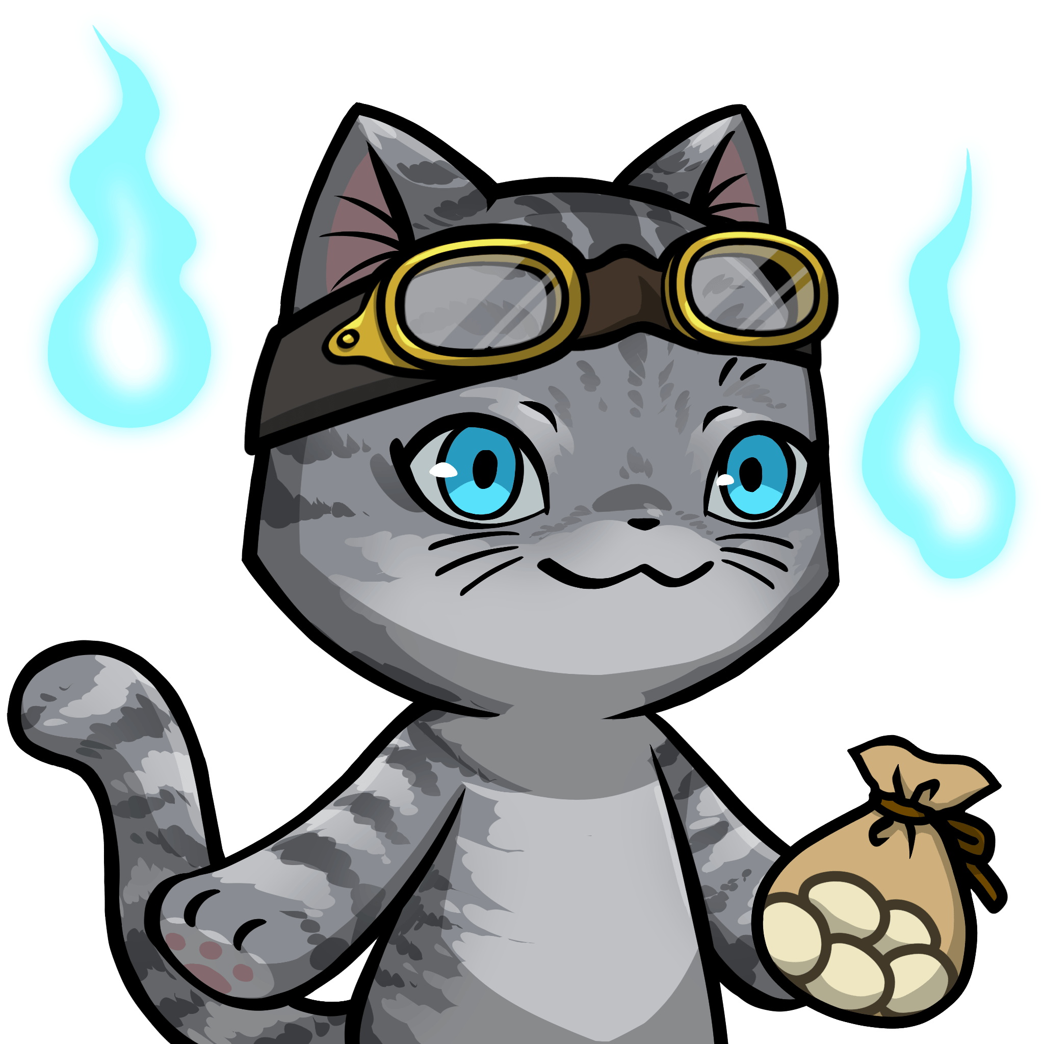 Towa-American shorthair #20298