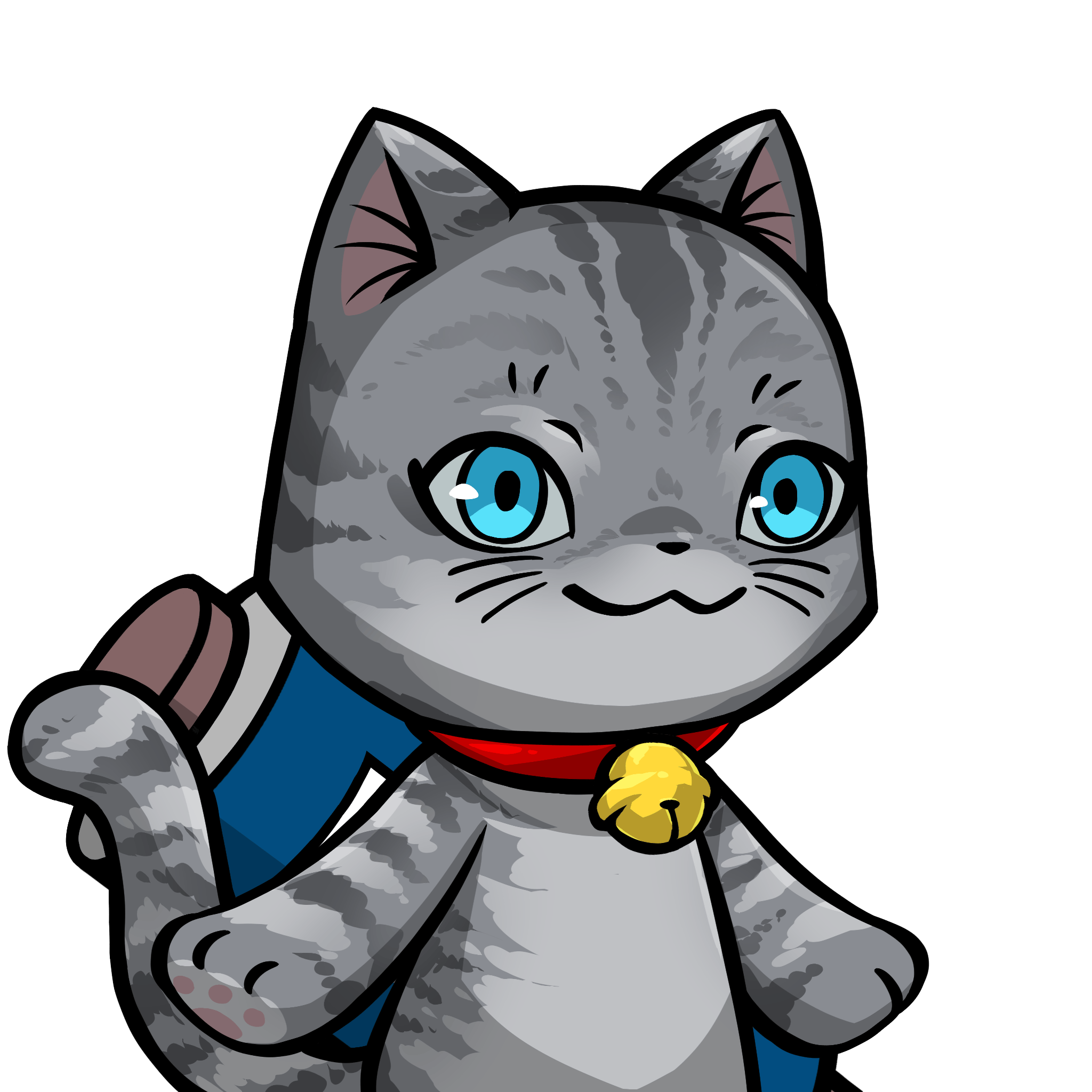 Towa-American shorthair #22559