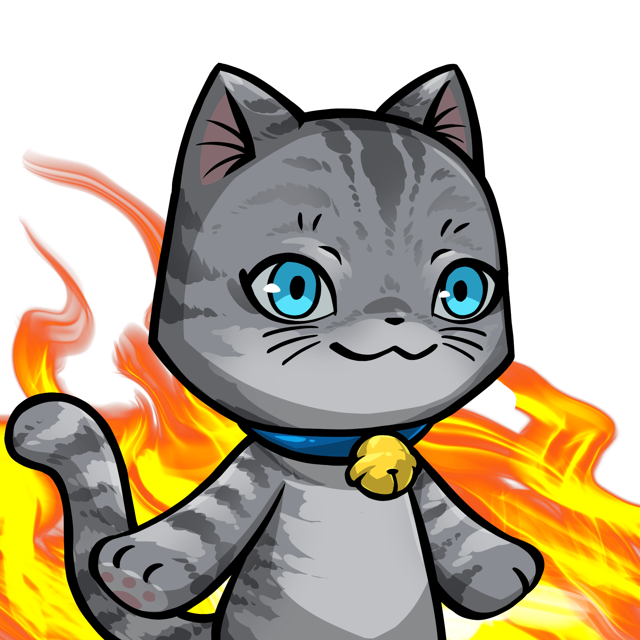 Towa-American shorthair #07923