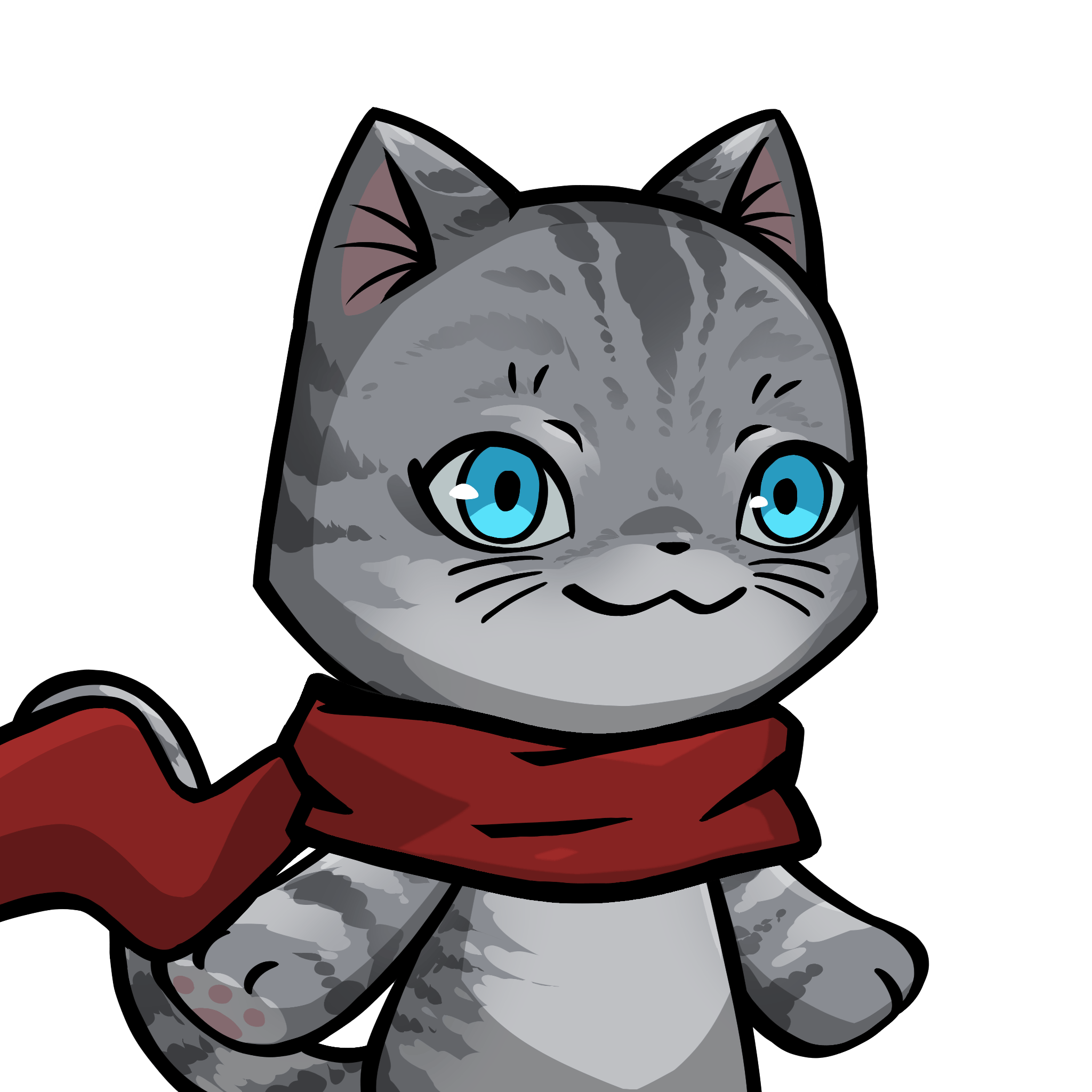 Towa-American shorthair #13839
