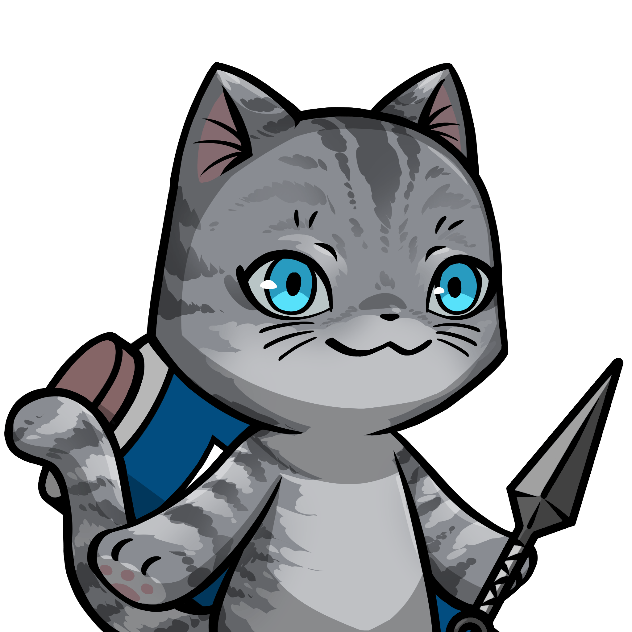 Towa-American shorthair #10807