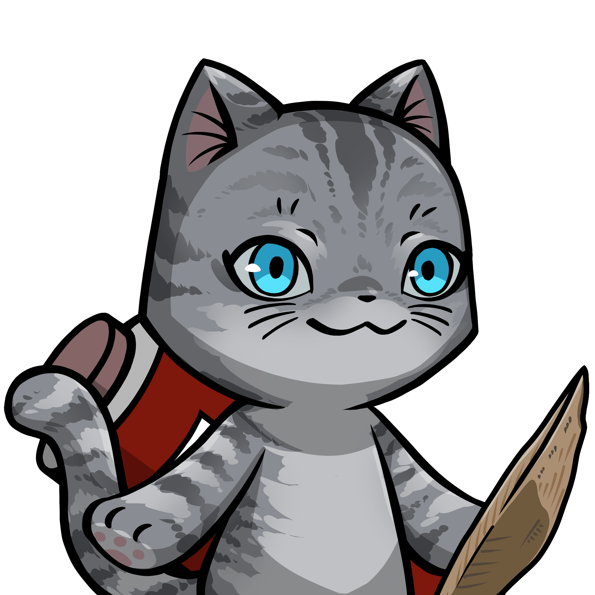 Towa-American shorthair #21777
