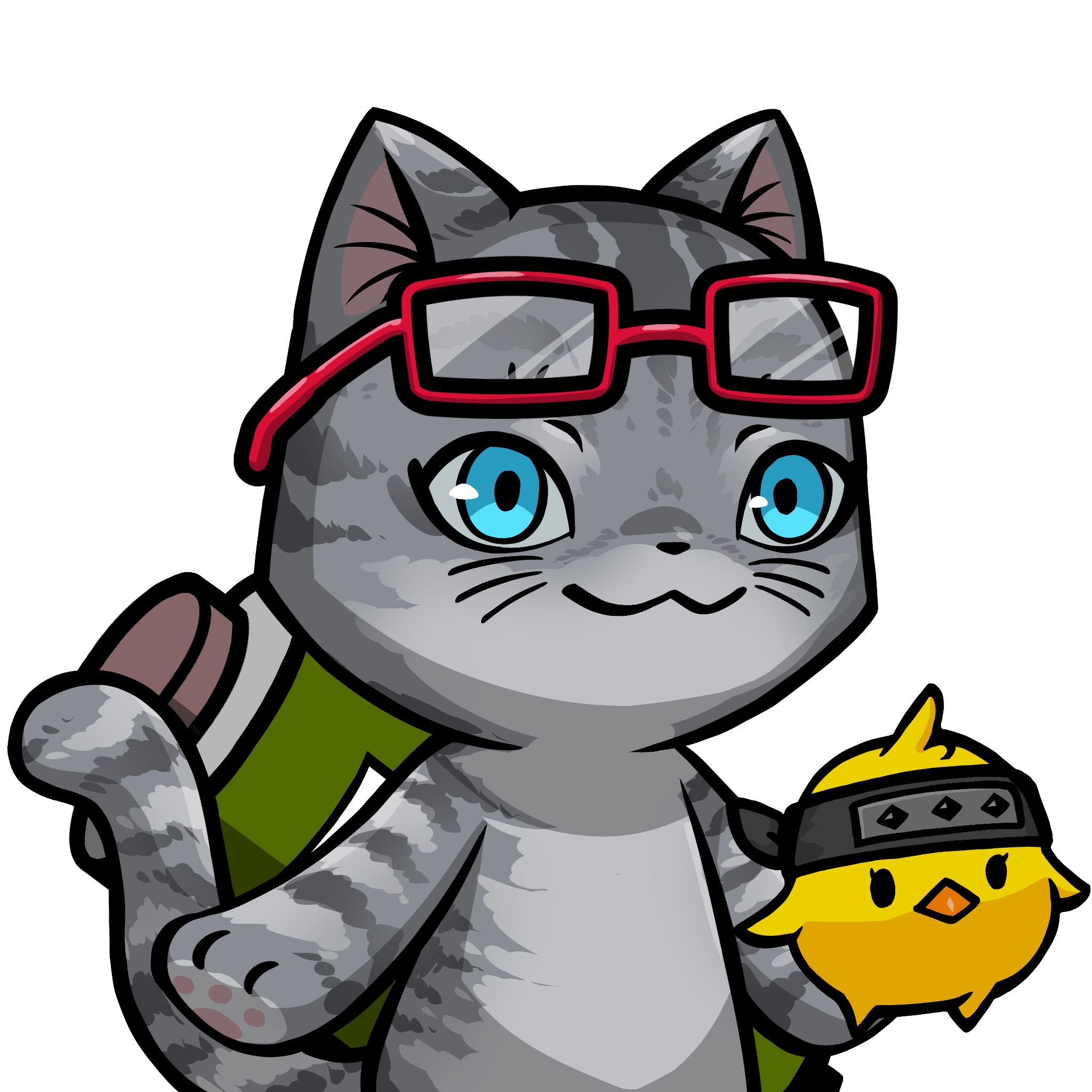 Towa-American shorthair #24541