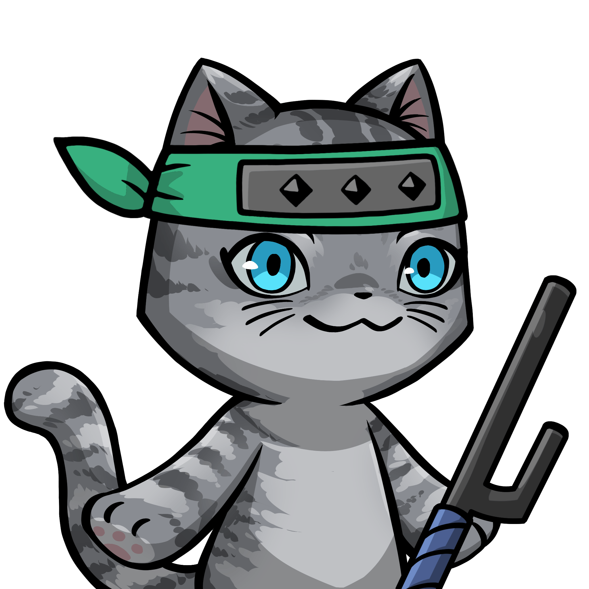Towa-American shorthair #25653
