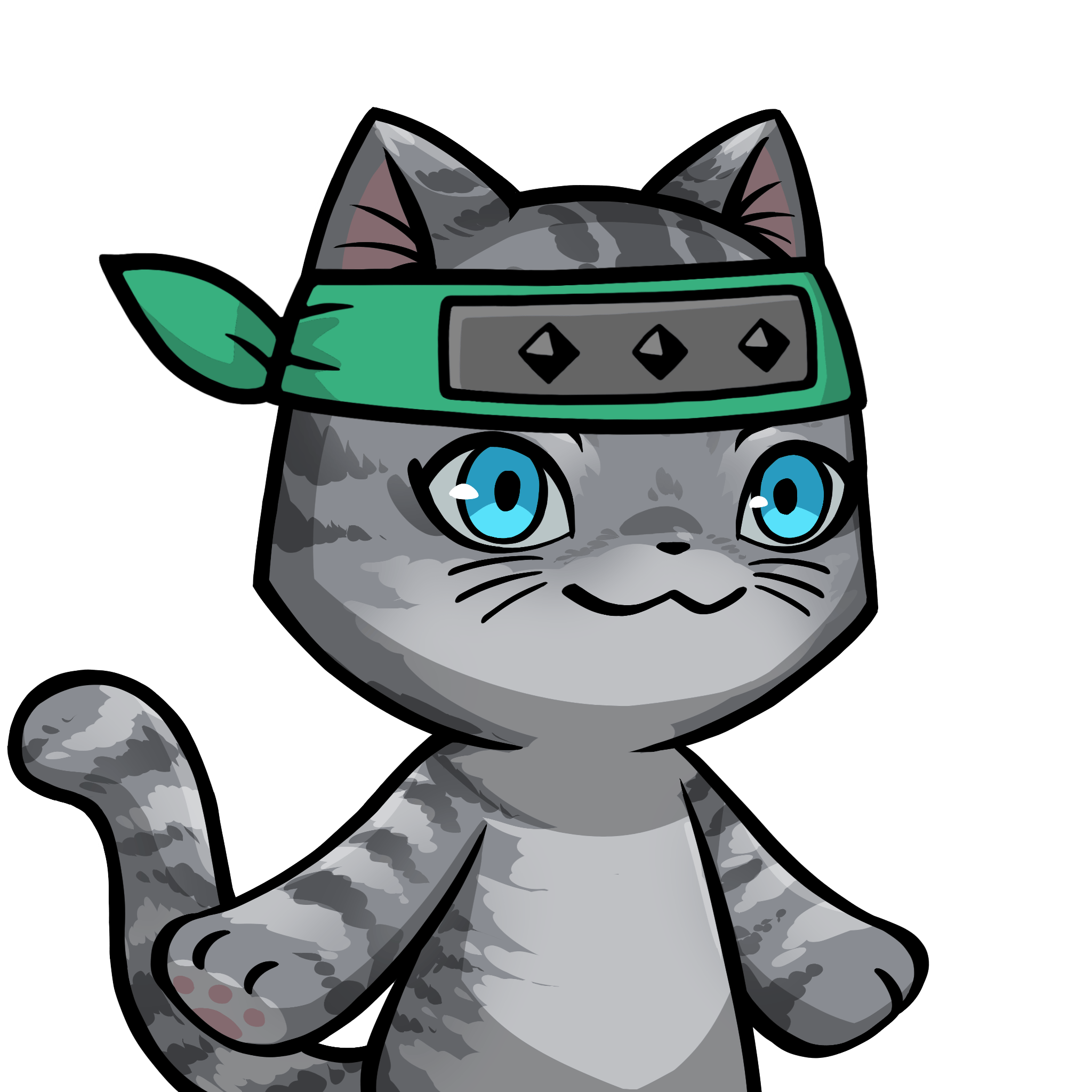 Towa-American shorthair #23499