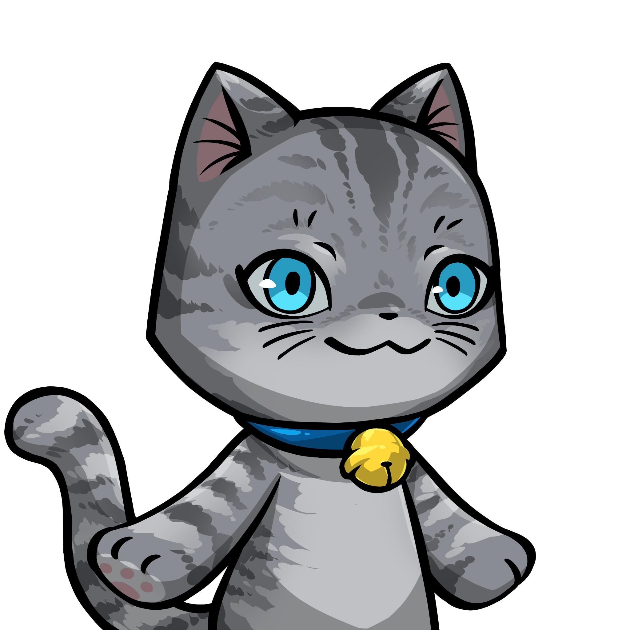 Towa-American shorthair #09781