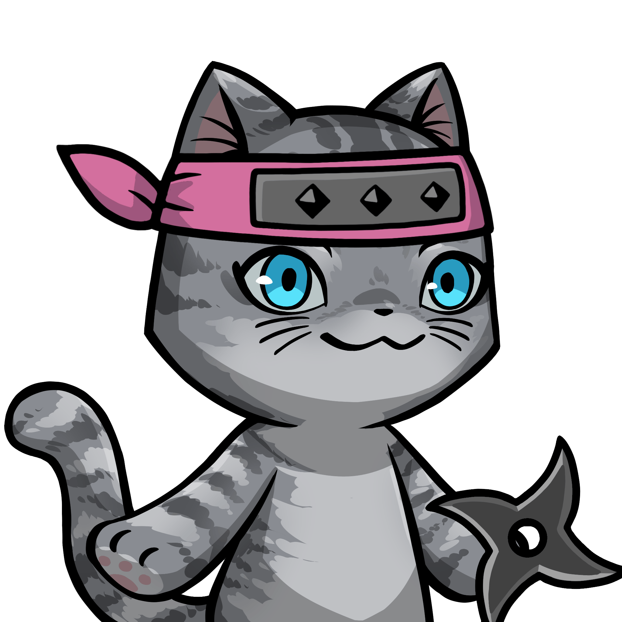 ［Locked］Towa-American shorthair #16395