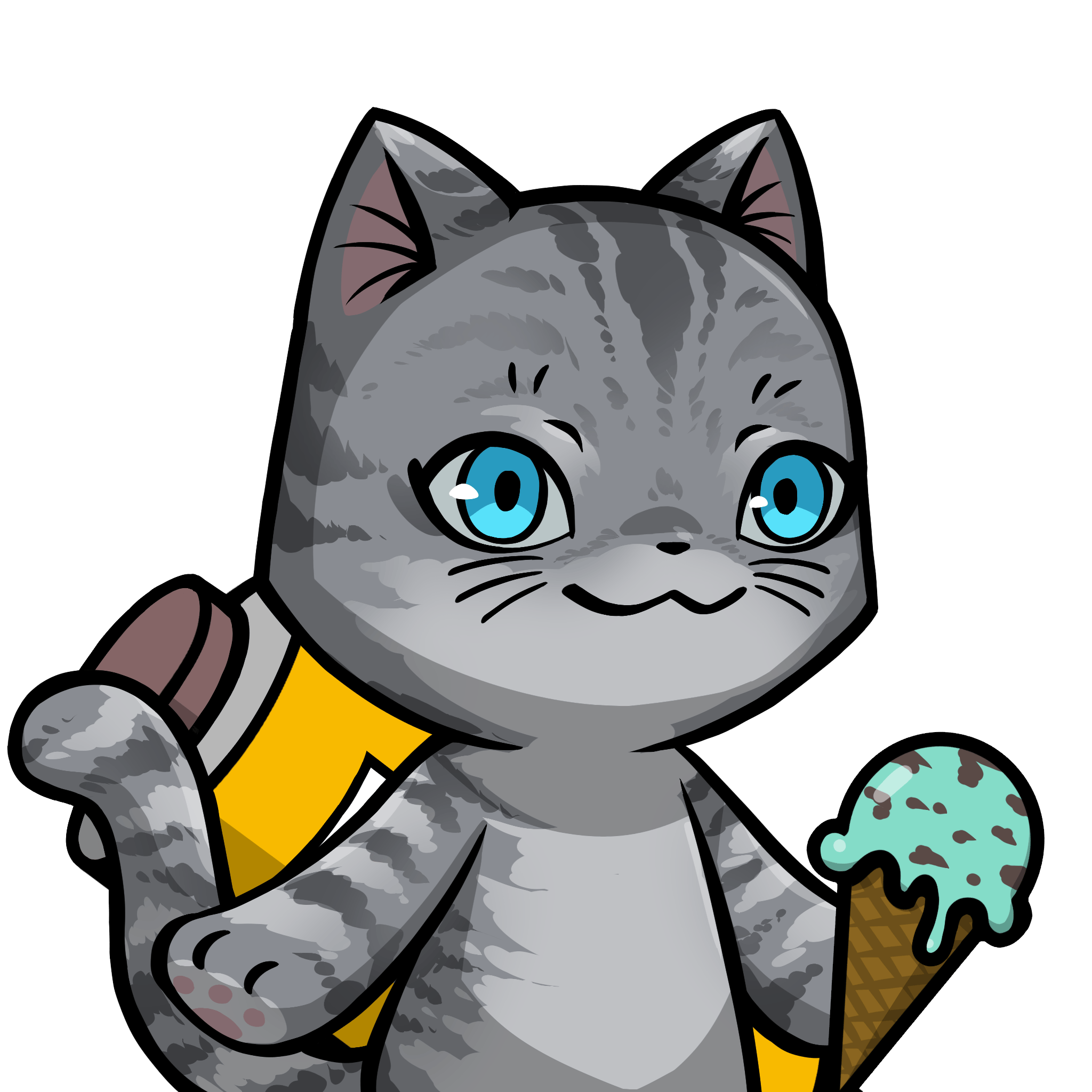 Towa-American shorthair #03342
