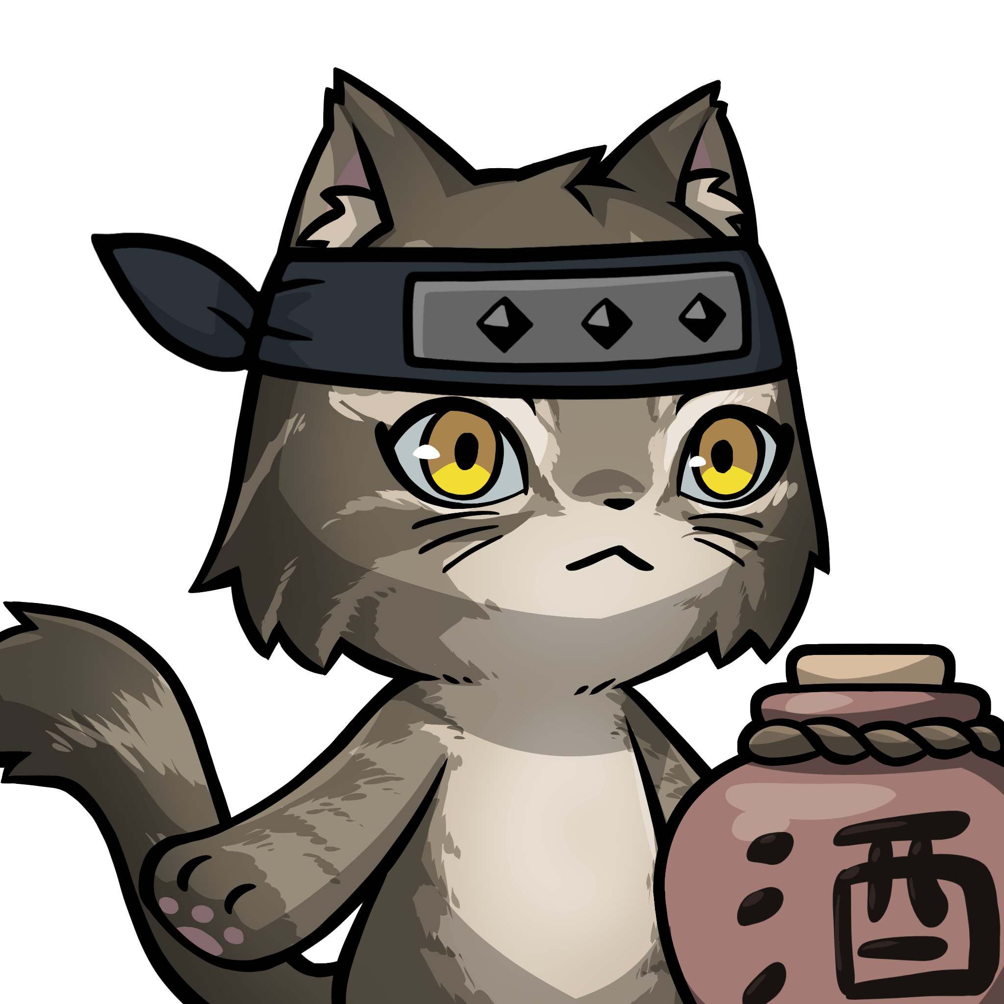 Setsuna-Norwegian forest cat #14497