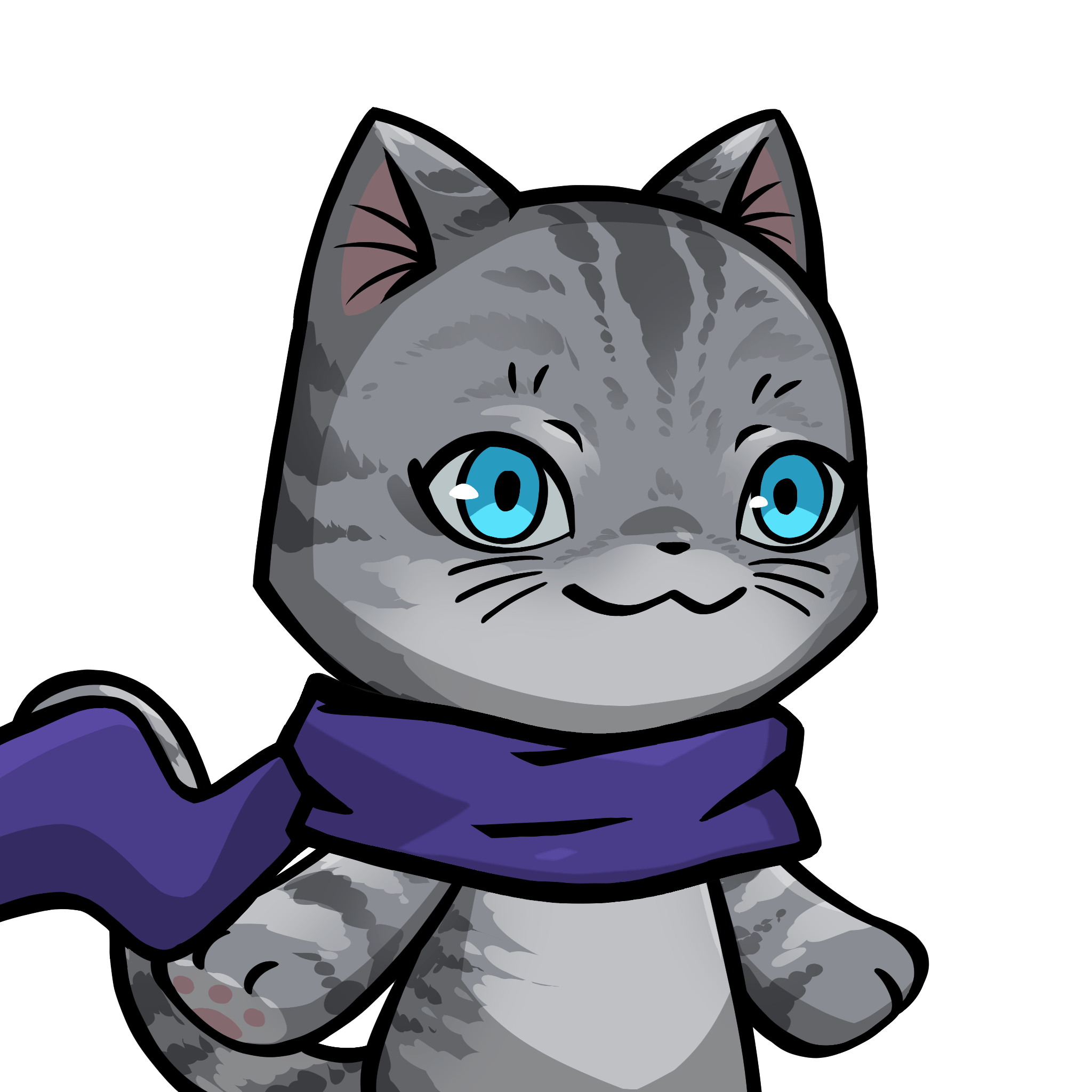Towa-American shorthair #23412